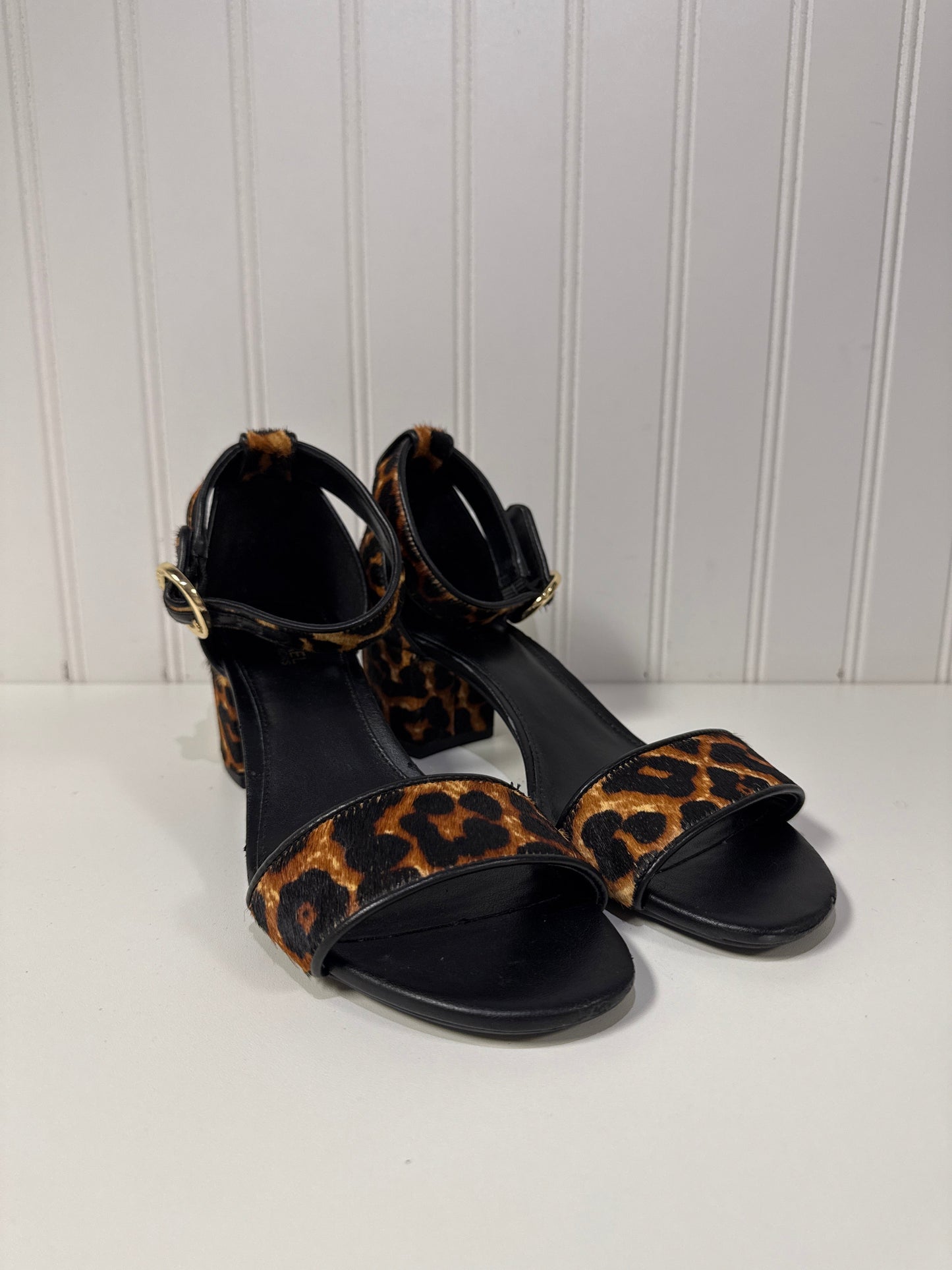 Shoes Designer By Michael Kors In Animal Print, Size: 6.5