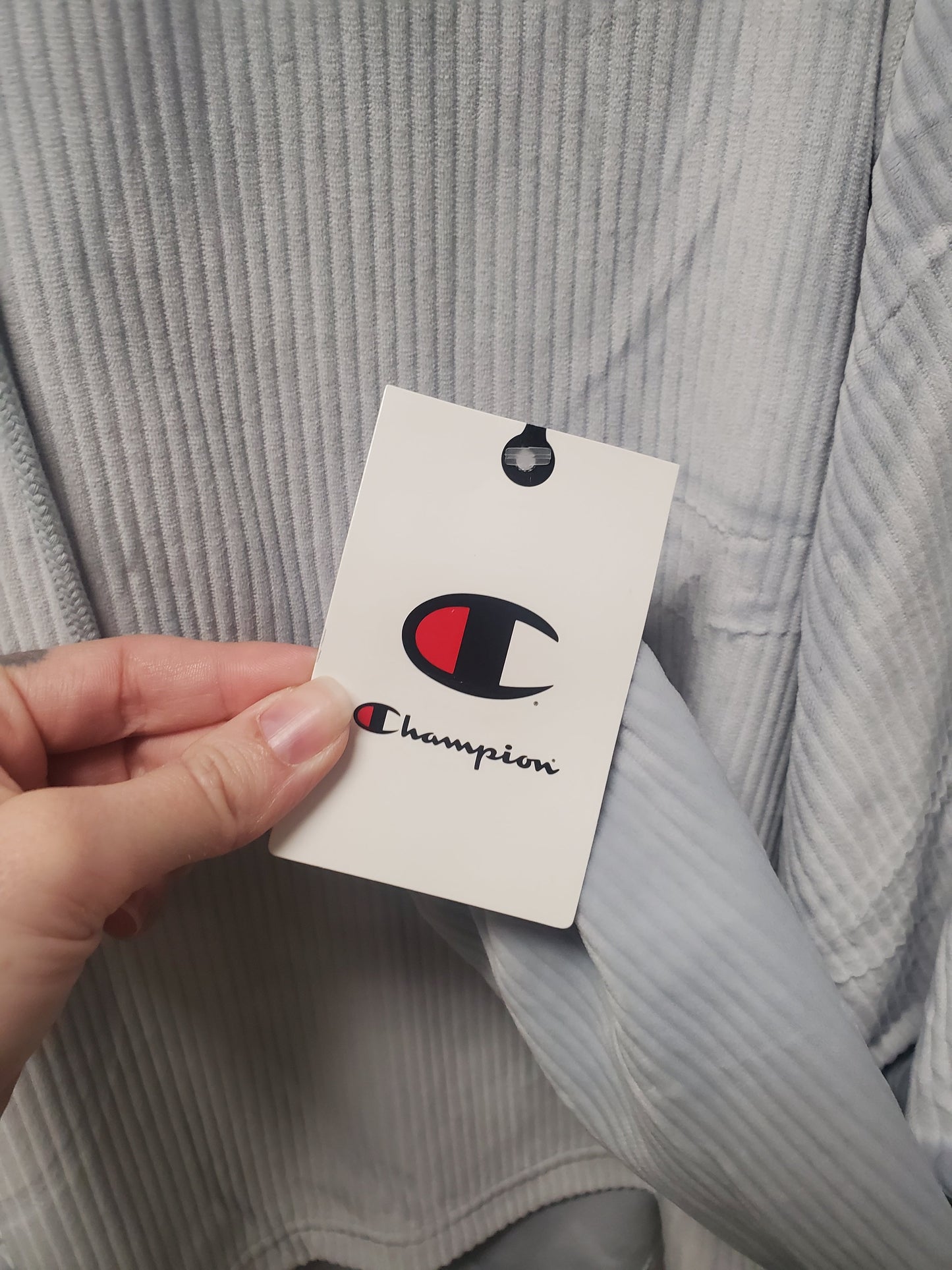 Sweatshirt Hoodie By Champion In Blue, Size: S