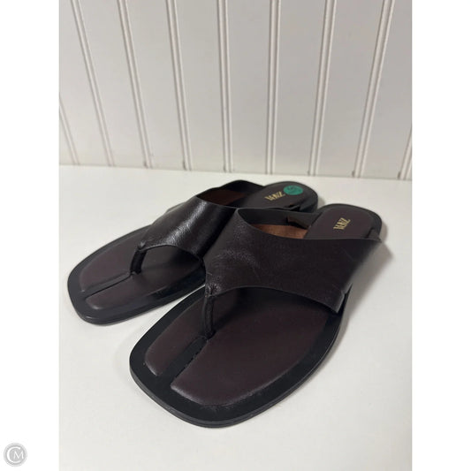 Sandals Flip Flops By Zara In Bronze, Size: 5.5