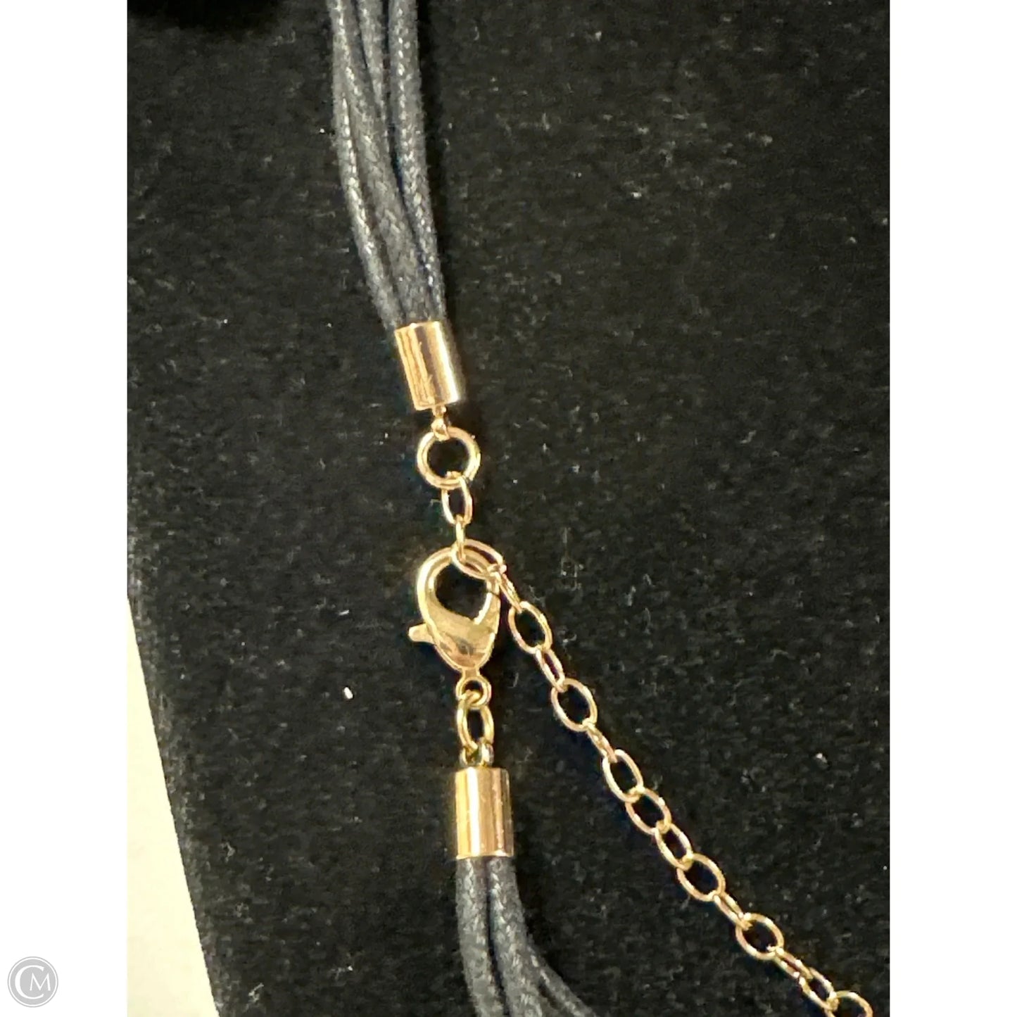 Necklace Charm By Clothes Mentor, Size: 1