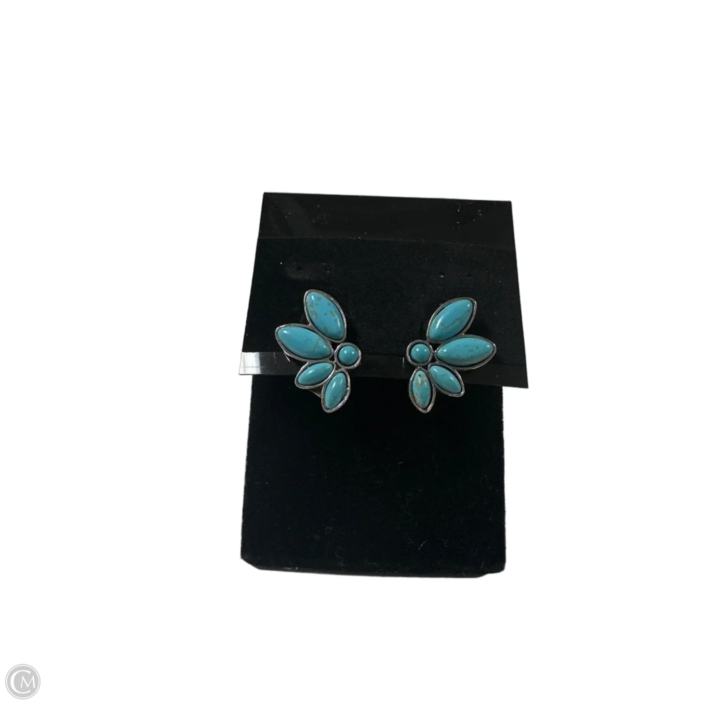 Earrings Stud By Clothes Mentor, Size: 2