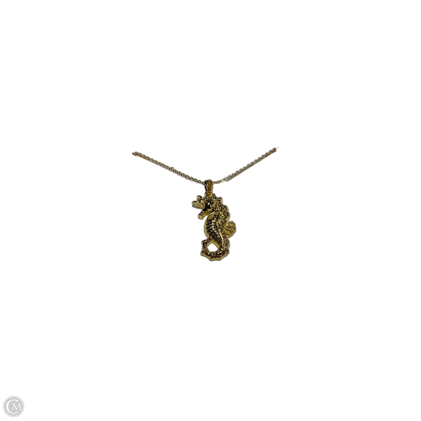 Necklace Pendant By Clothes Mentor, Size: 1