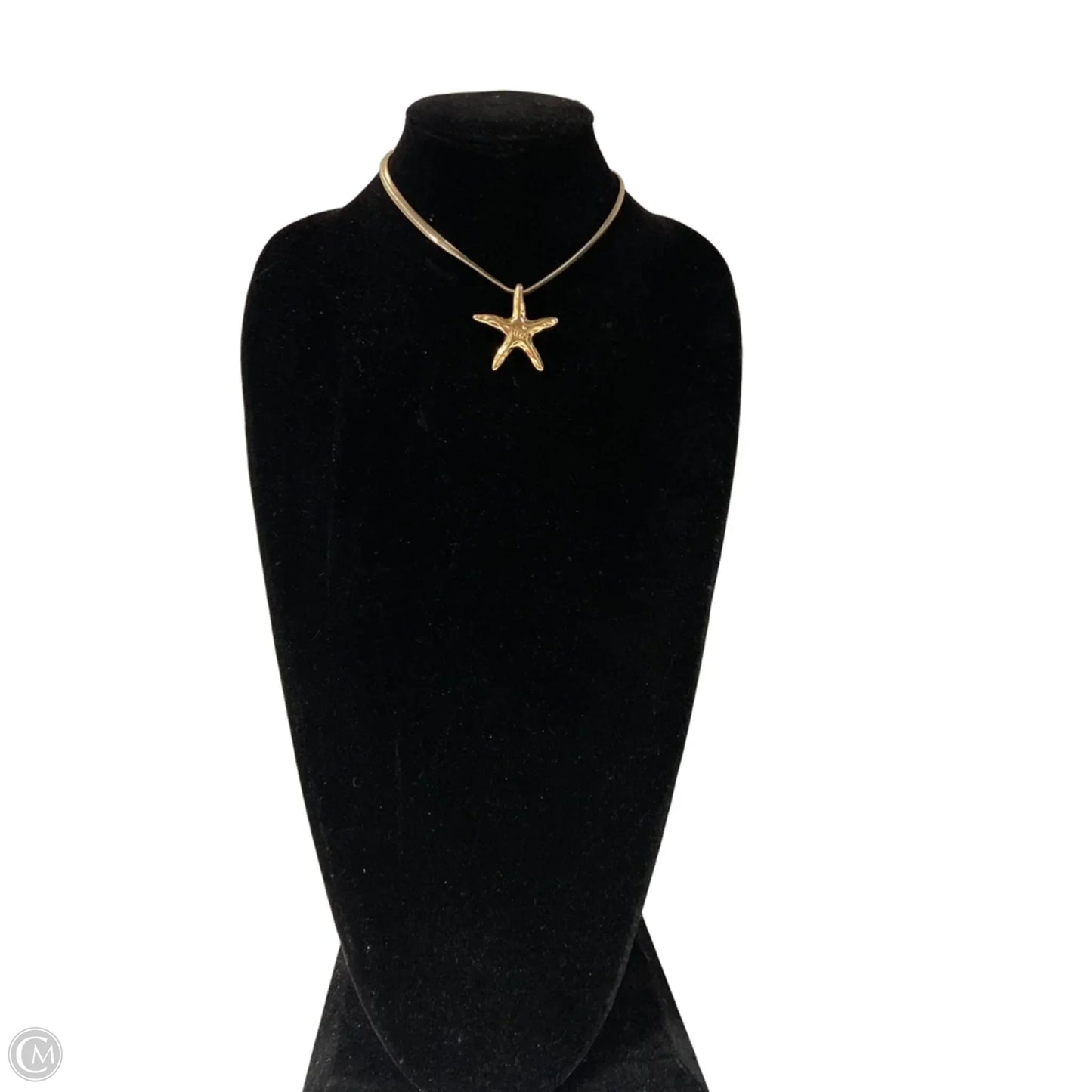 Necklace Pendant By Clothes Mentor, Size: 1