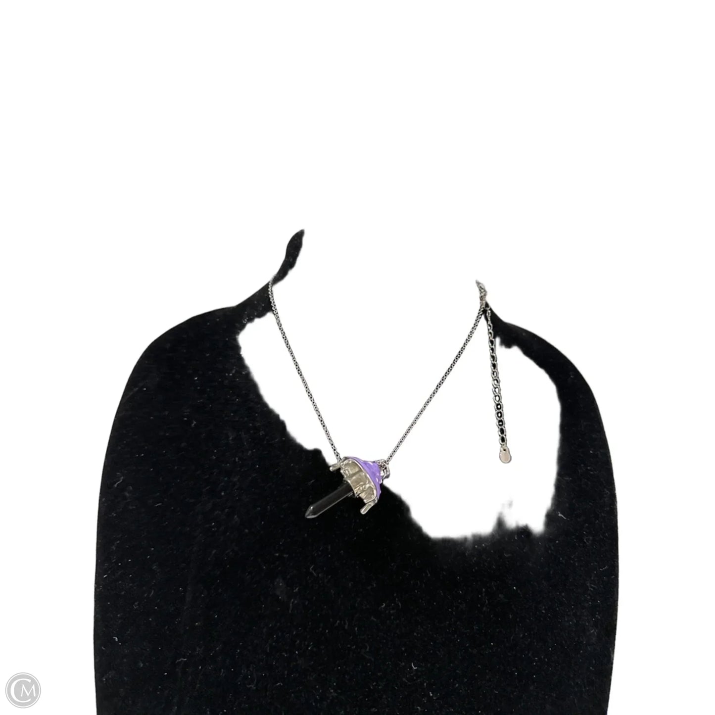 Necklace Pendant By Clothes Mentor, Size: 1