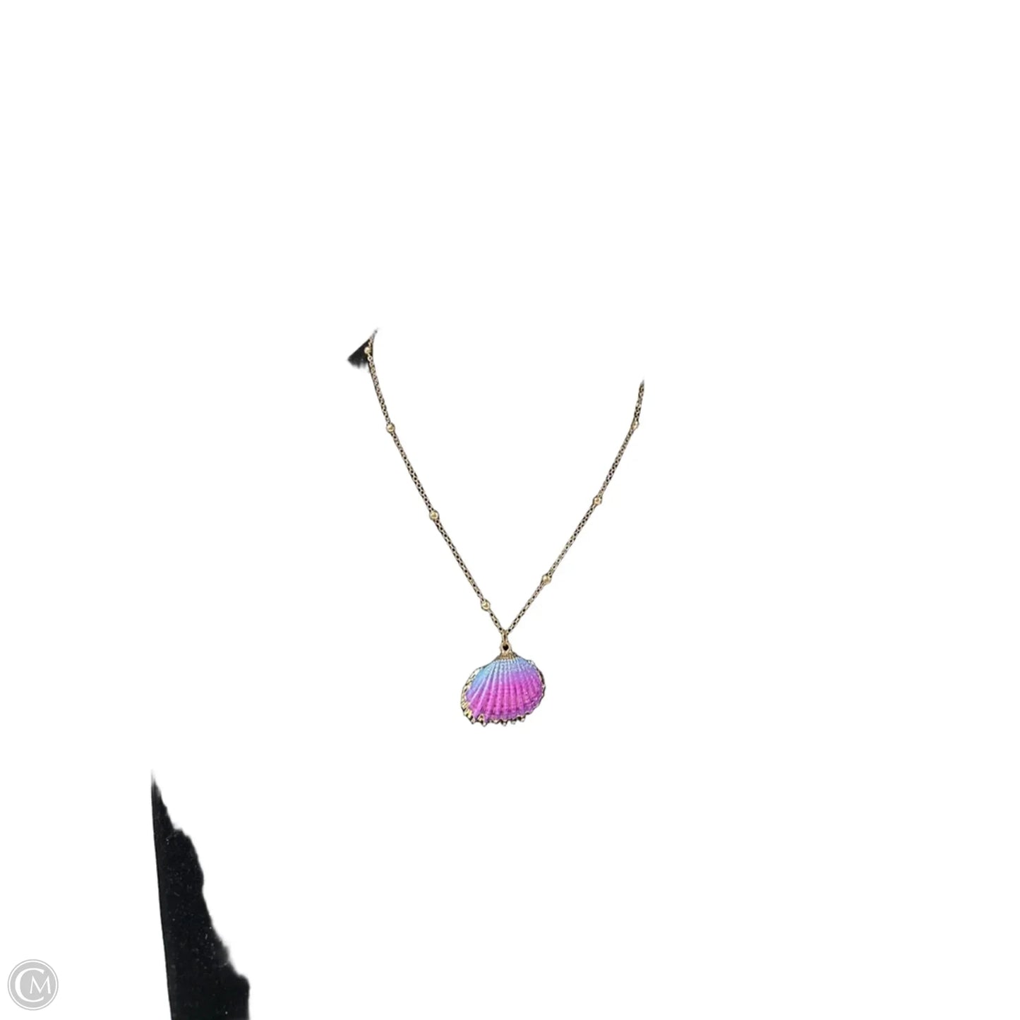 Necklace Pendant By Clothes Mentor, Size: 1