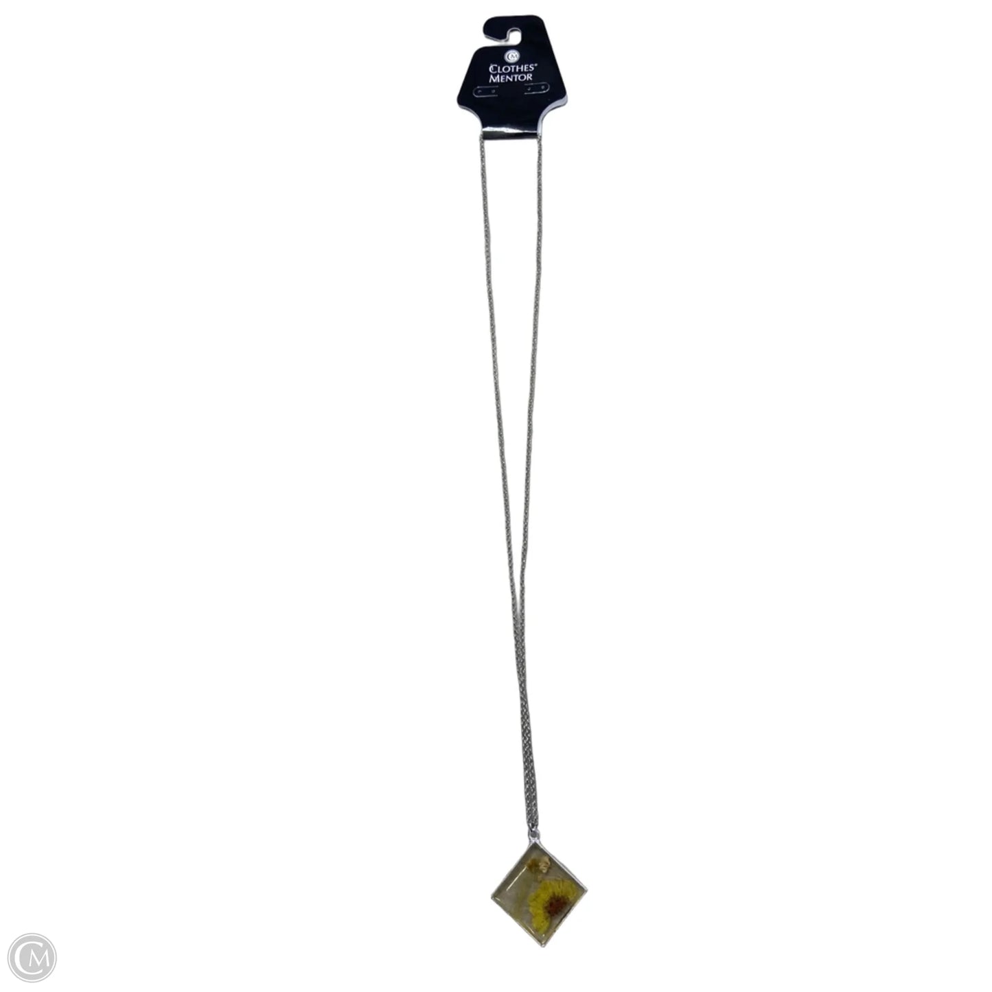 Necklace Pendant By Clothes Mentor, Size: 1