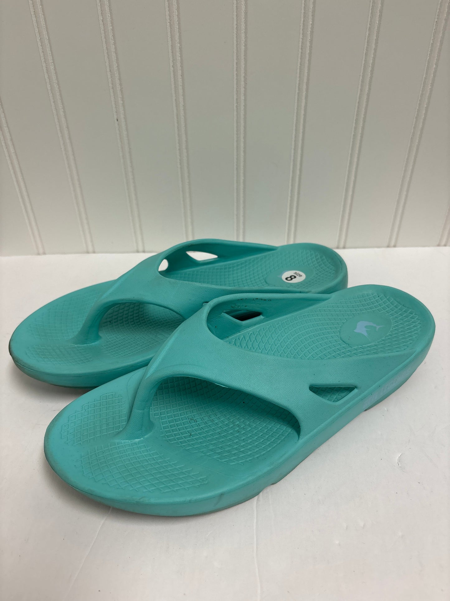 Aqua Sandals Flip Flops Clothes Mentor, Size 9