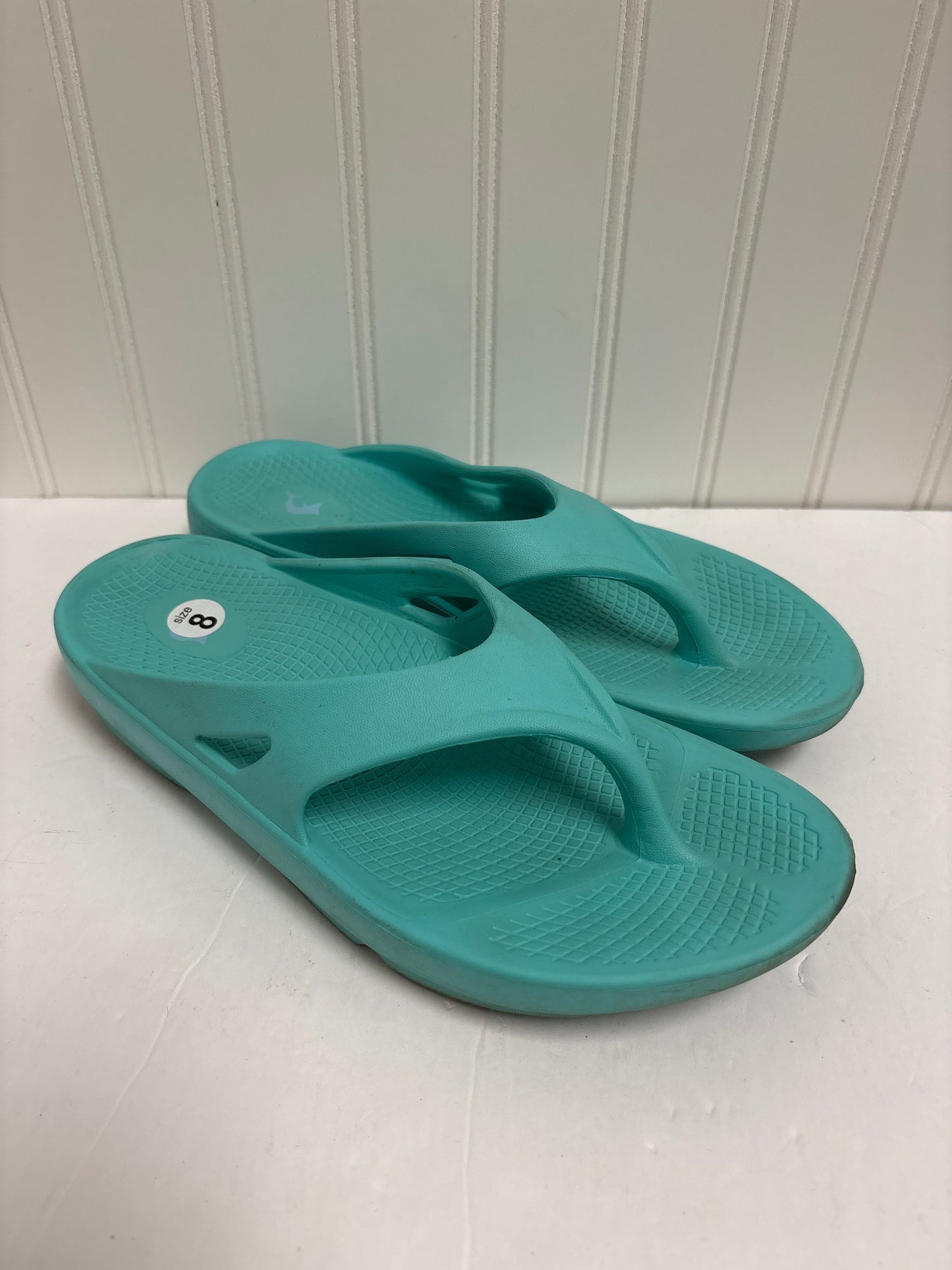 Aqua Sandals Flip Flops Clothes Mentor, Size 9