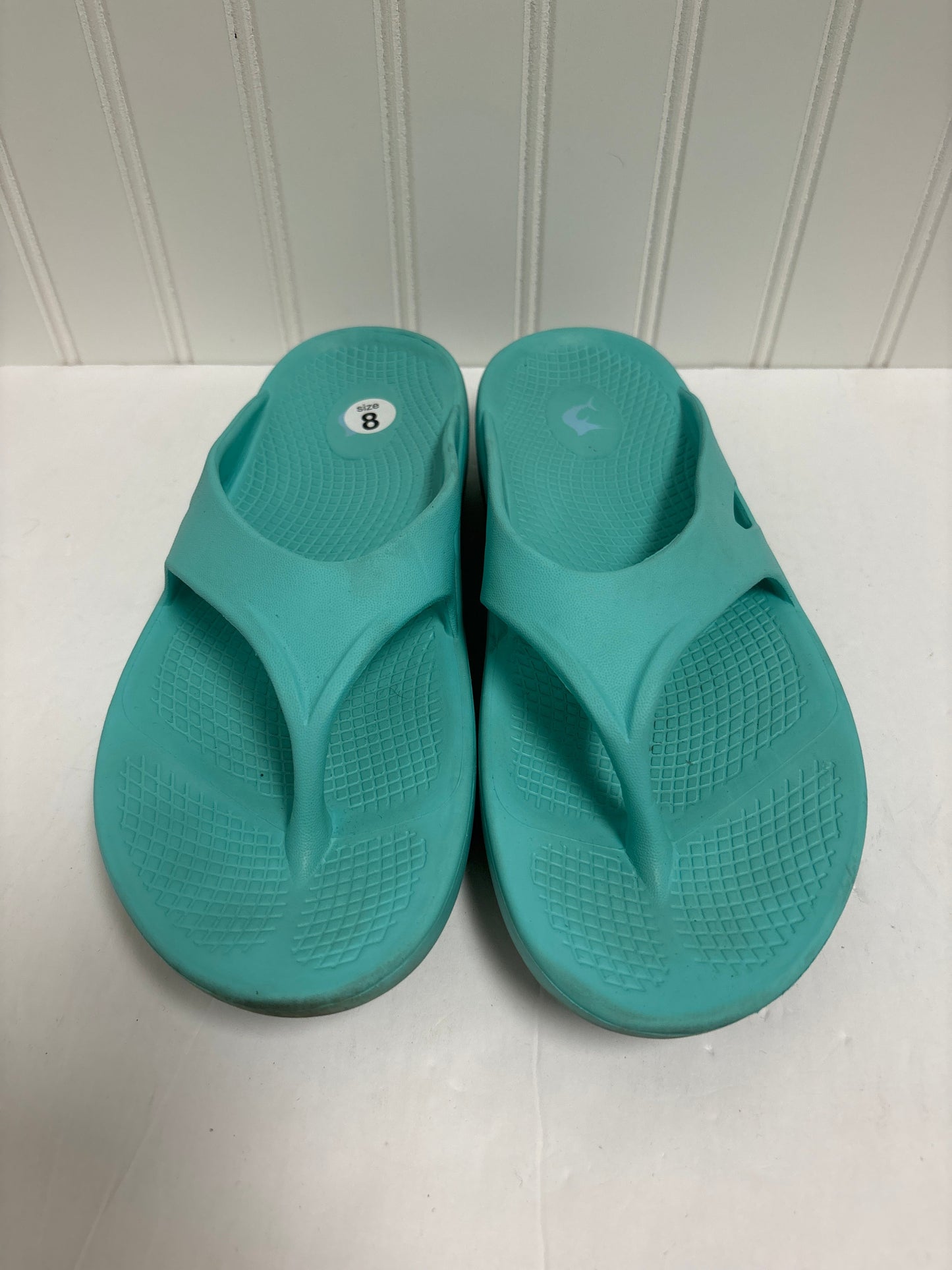 Aqua Sandals Flip Flops Clothes Mentor, Size 9