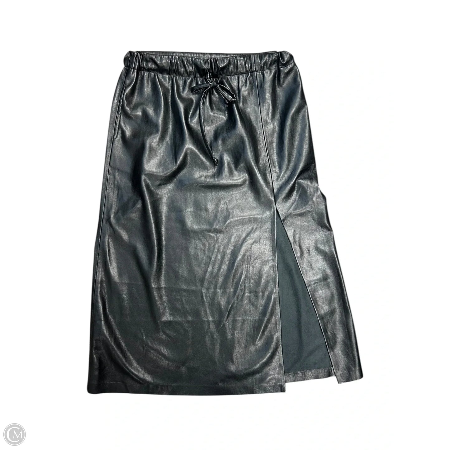 Skirt Maxi By Elan In Black, Size: L