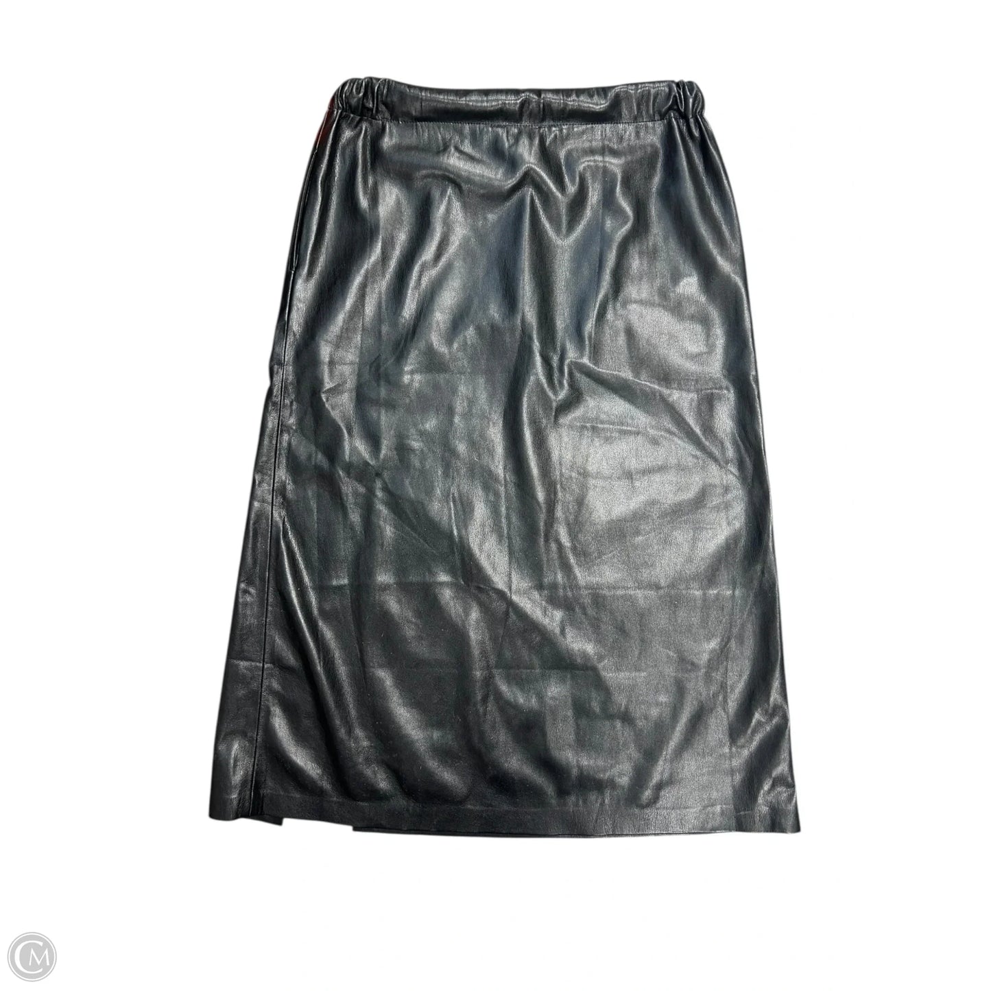 Skirt Maxi By Elan In Black, Size: L