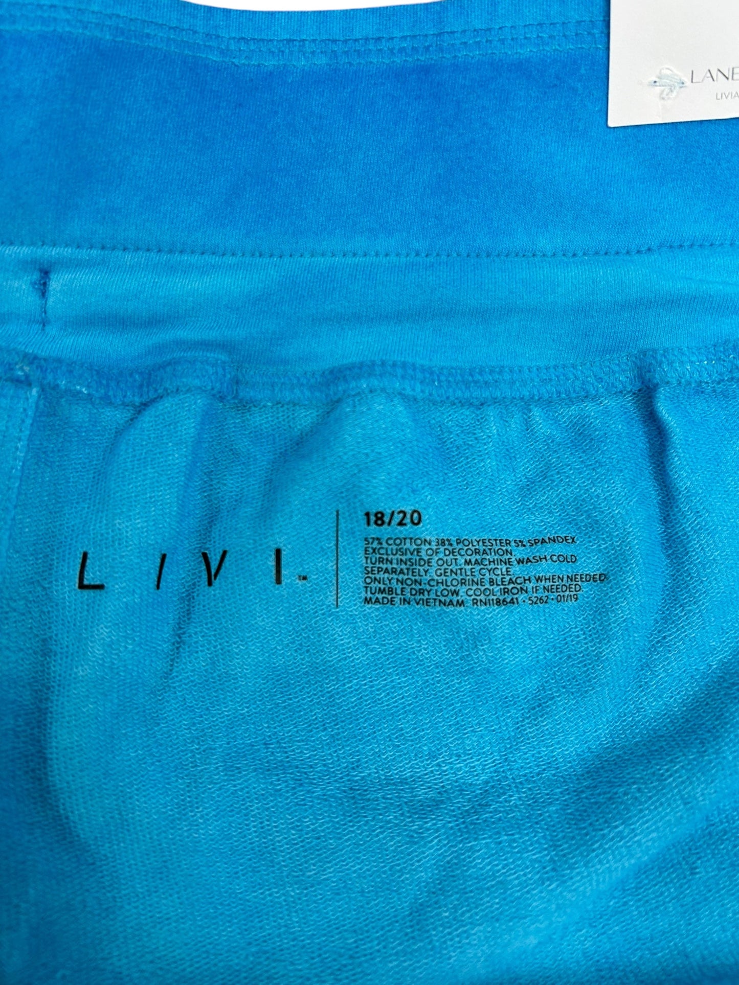 Athletic Shorts By Livi Active In Blue, Size: 2X