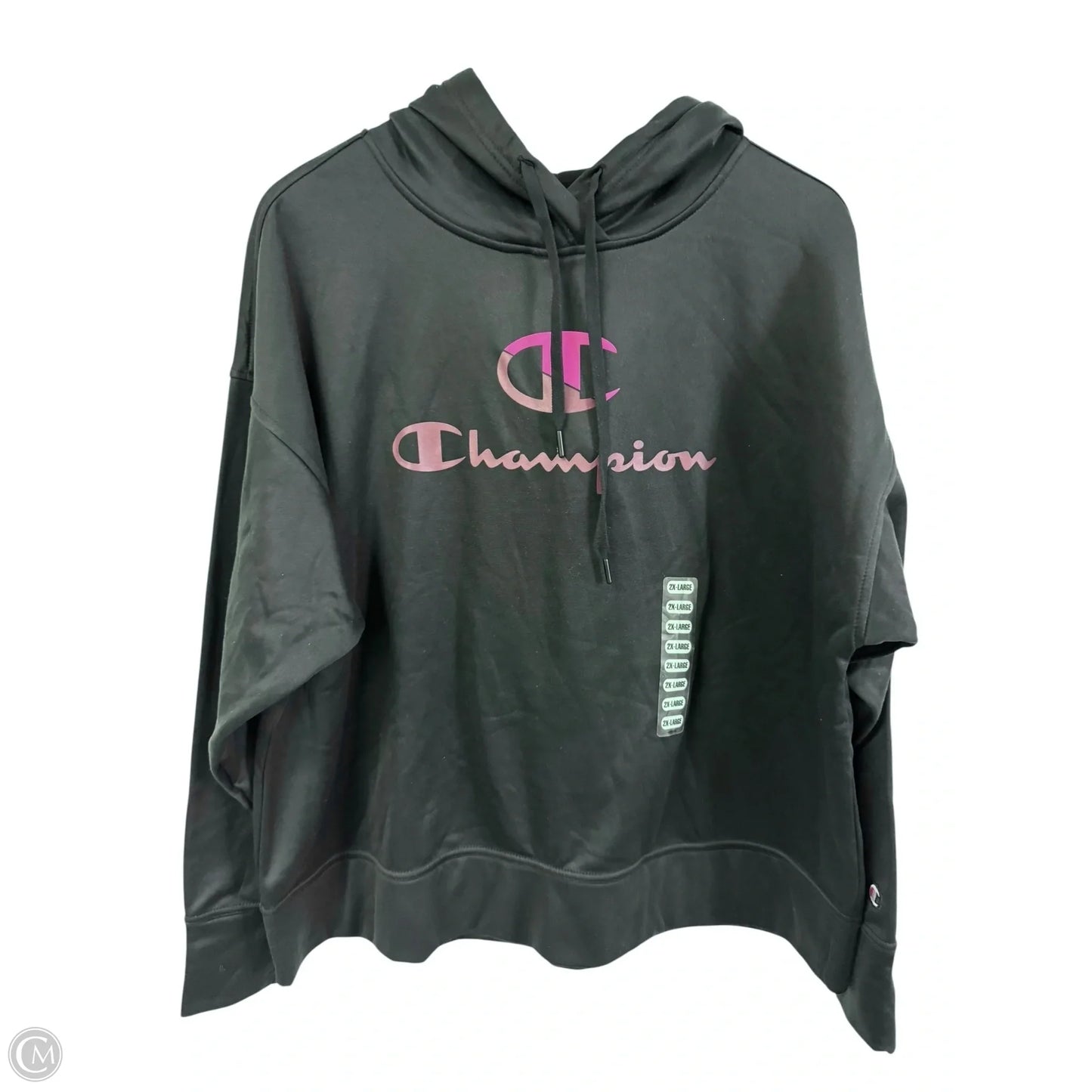 Sweatshirt Hoodie By Champion In Black, Size: 2x