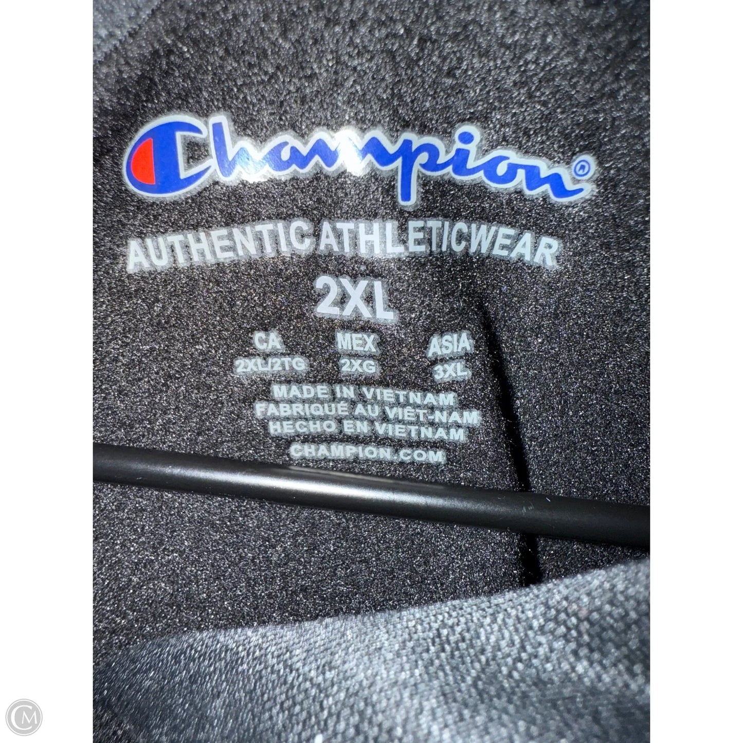 Sweatshirt Hoodie By Champion In Black, Size: 2x