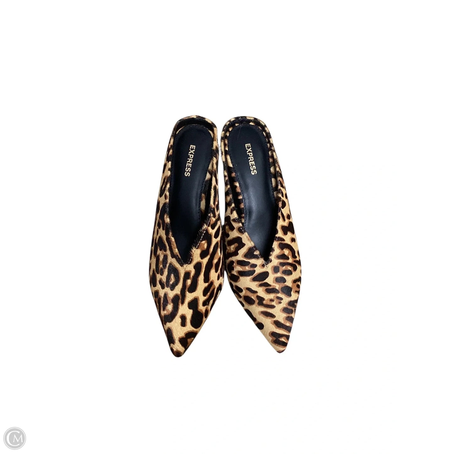 Shoes Heels Kitten By Express In Leopard Print, Size: 7.5