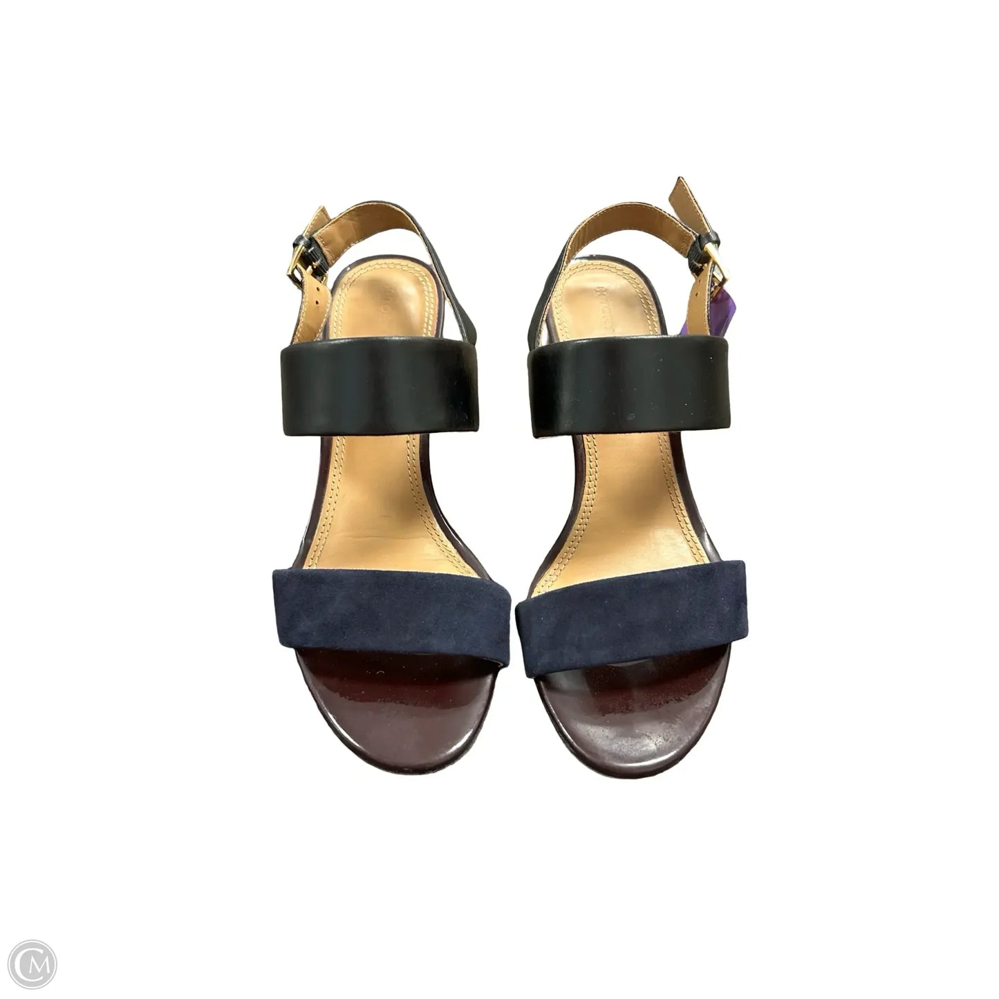 Shoes Designer By Tory Burch In Black & Blue, Size: 7