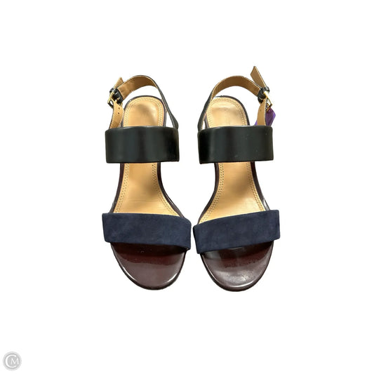 Shoes Designer By Tory Burch In Black & Blue, Size: 7