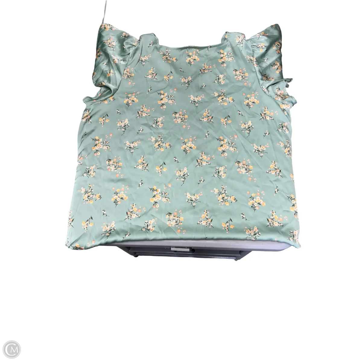 Top Short Sleeve By Blu Pepper In Green, Size: 3x