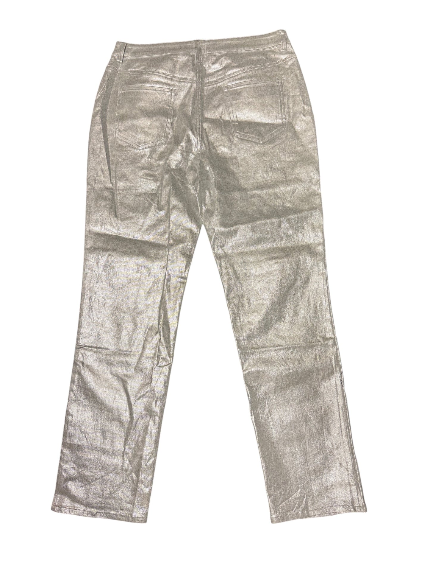 Pants Other By Blue B In Silver, Size: L