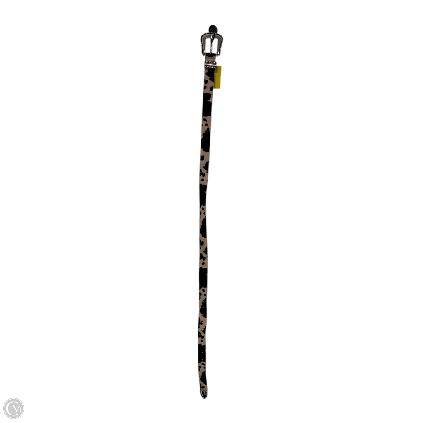 Belt By Clothes Mentor