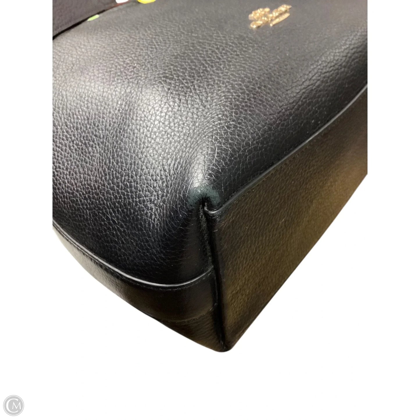 Crossbody Designer By Coach, Size: Medium