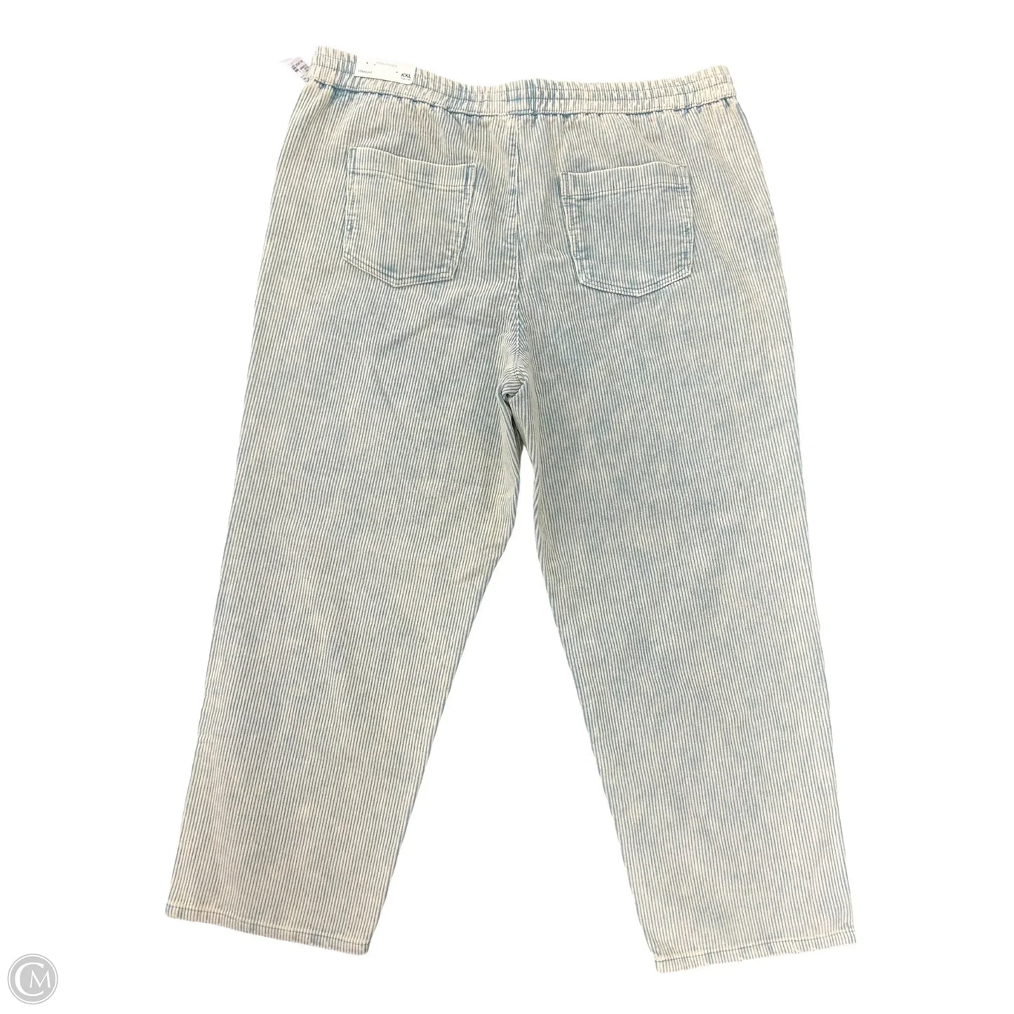 Pants Corduroy By Maurices In Blue & Cream, Size: Xxl