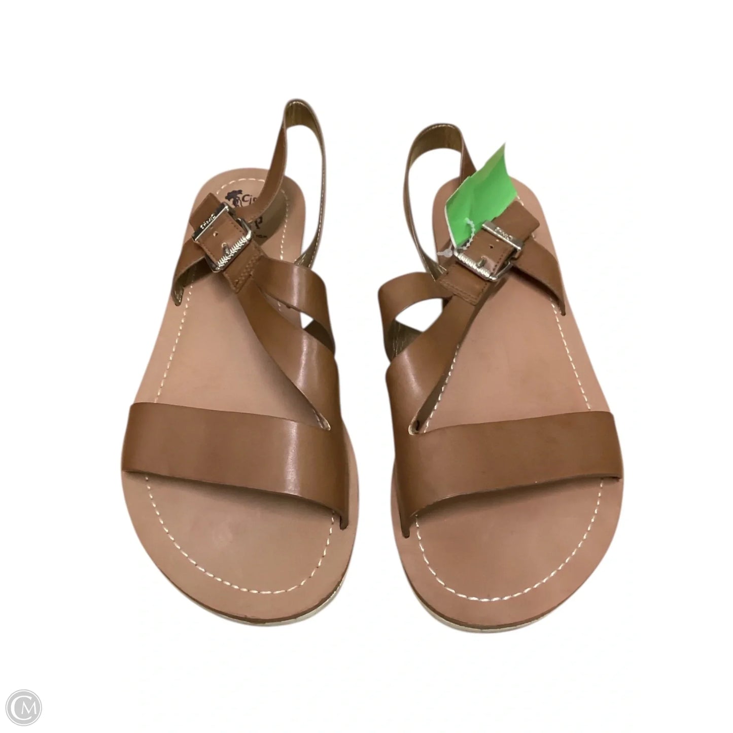 Sandals Flats By Circus By Sam Edelman In Brown, Size: 8.5