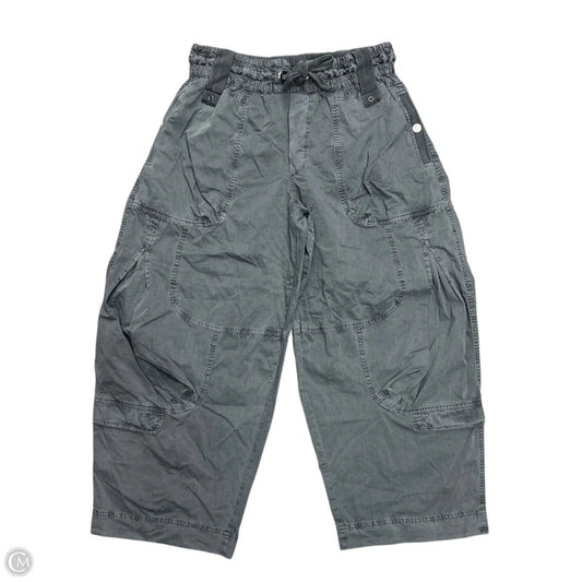 Pants Wide Leg By Free People In Grey, Size: L