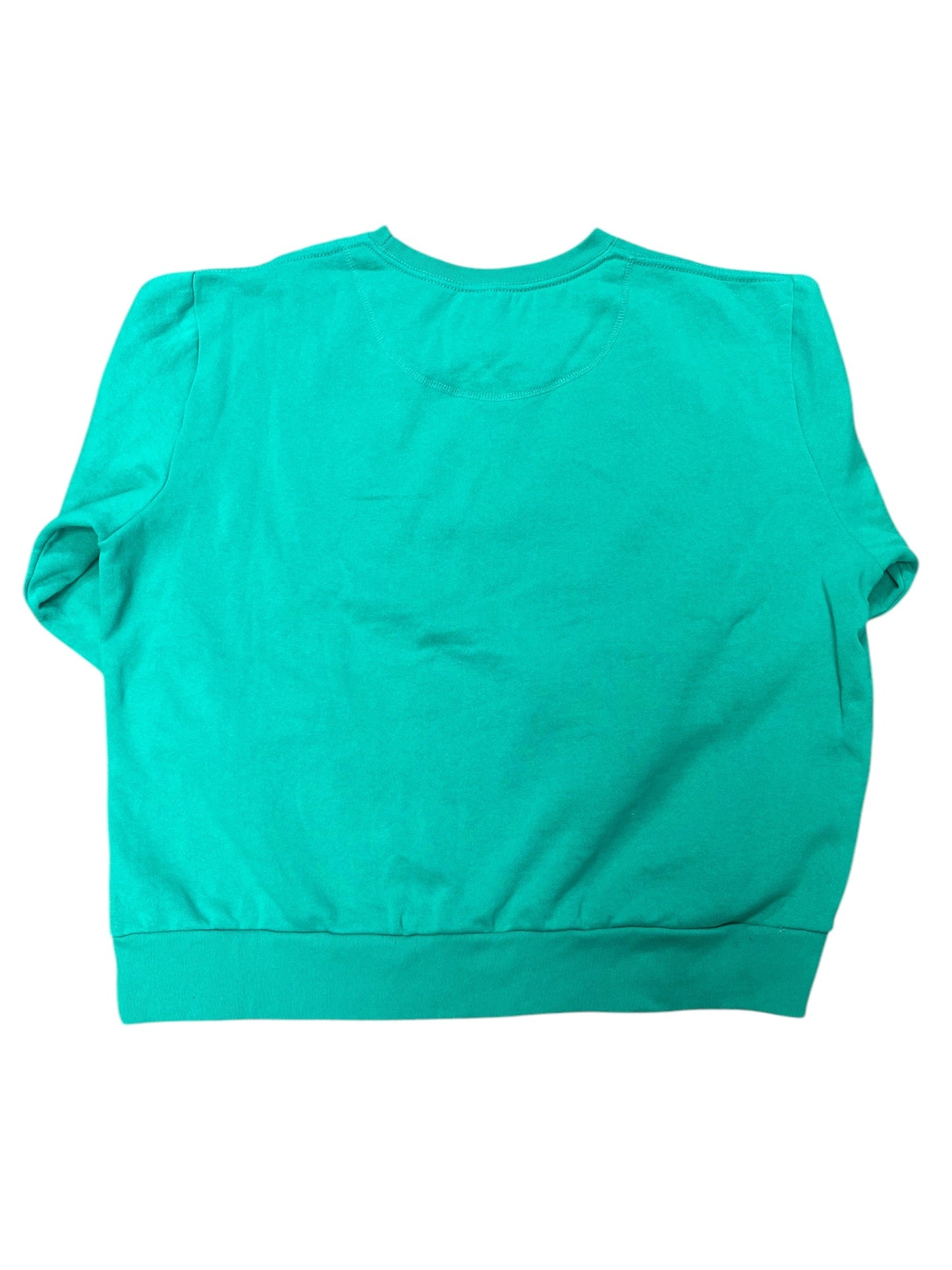 Sweatshirt Crewneck By Clothes Mentor In Green, Size: Xxl