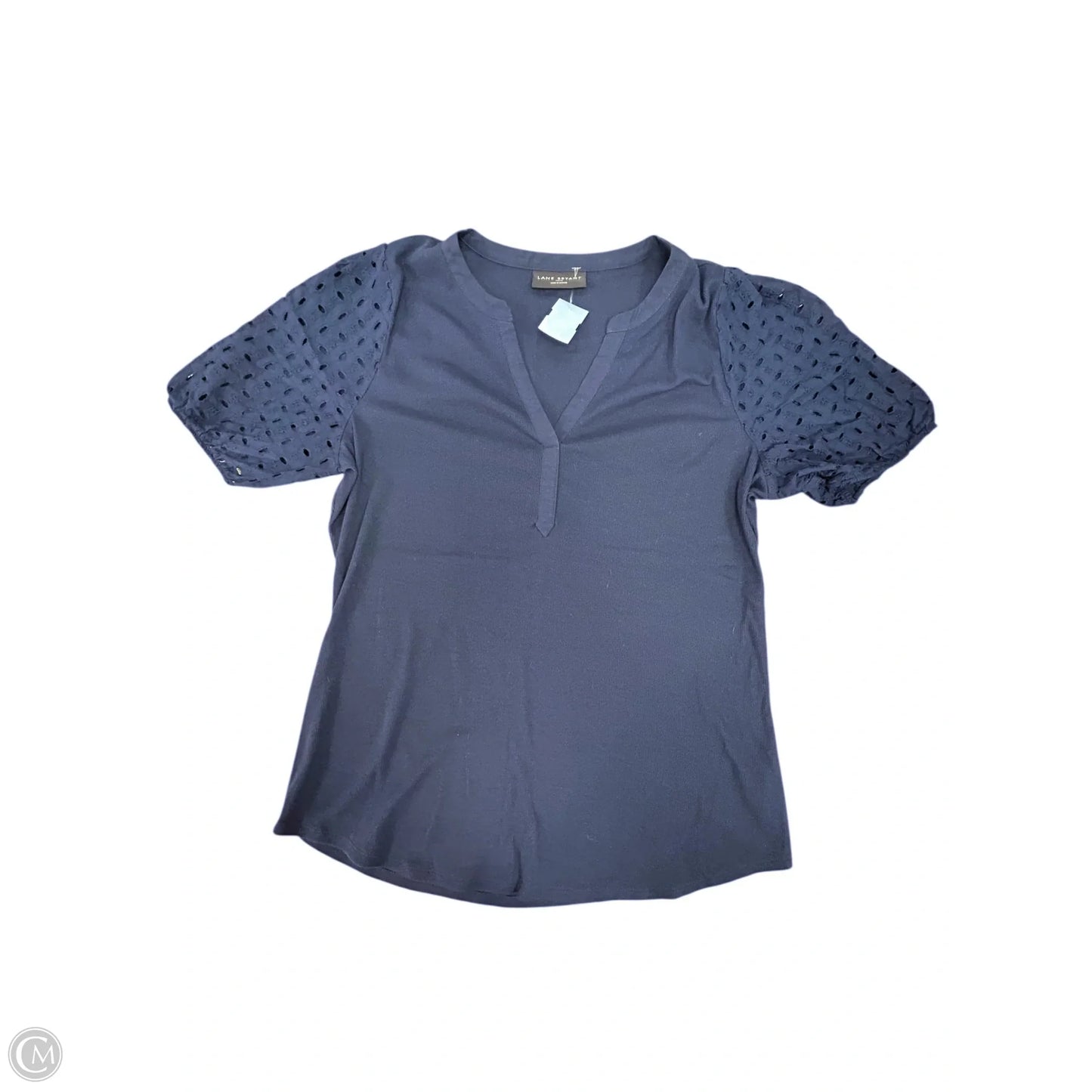 Top Short Sleeve By Lane Bryant In Blue, Size: Xxl