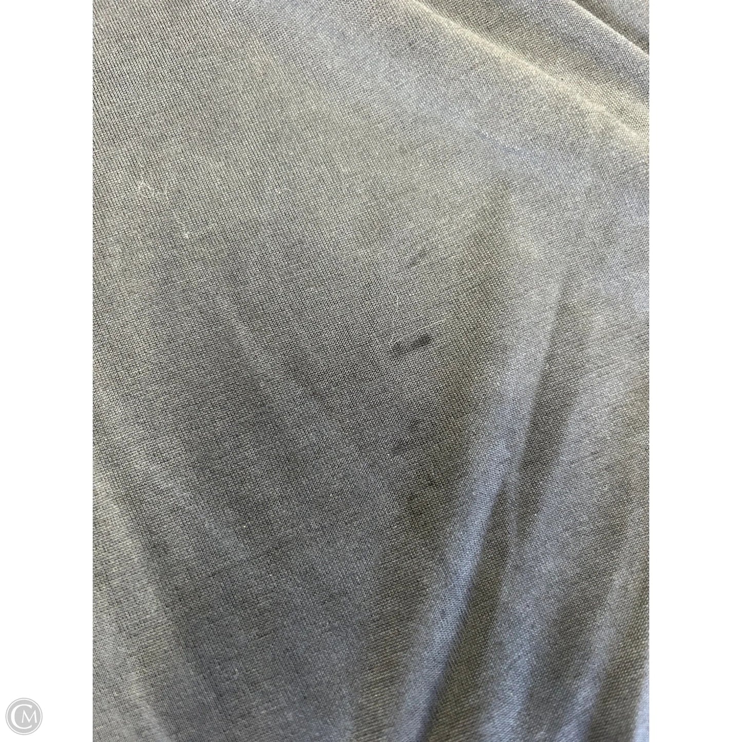 Pants Joggers By Free People In Grey, Size: L