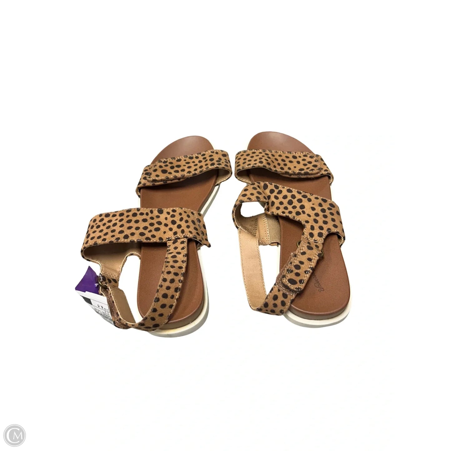 Sandals Flats By Universal Thread In Animal Print, Size: 6.5