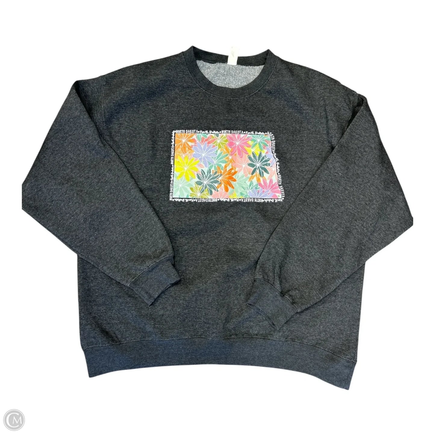 Sweatshirt Crewneck By Clothes Mentor In Grey, Size: 3x
