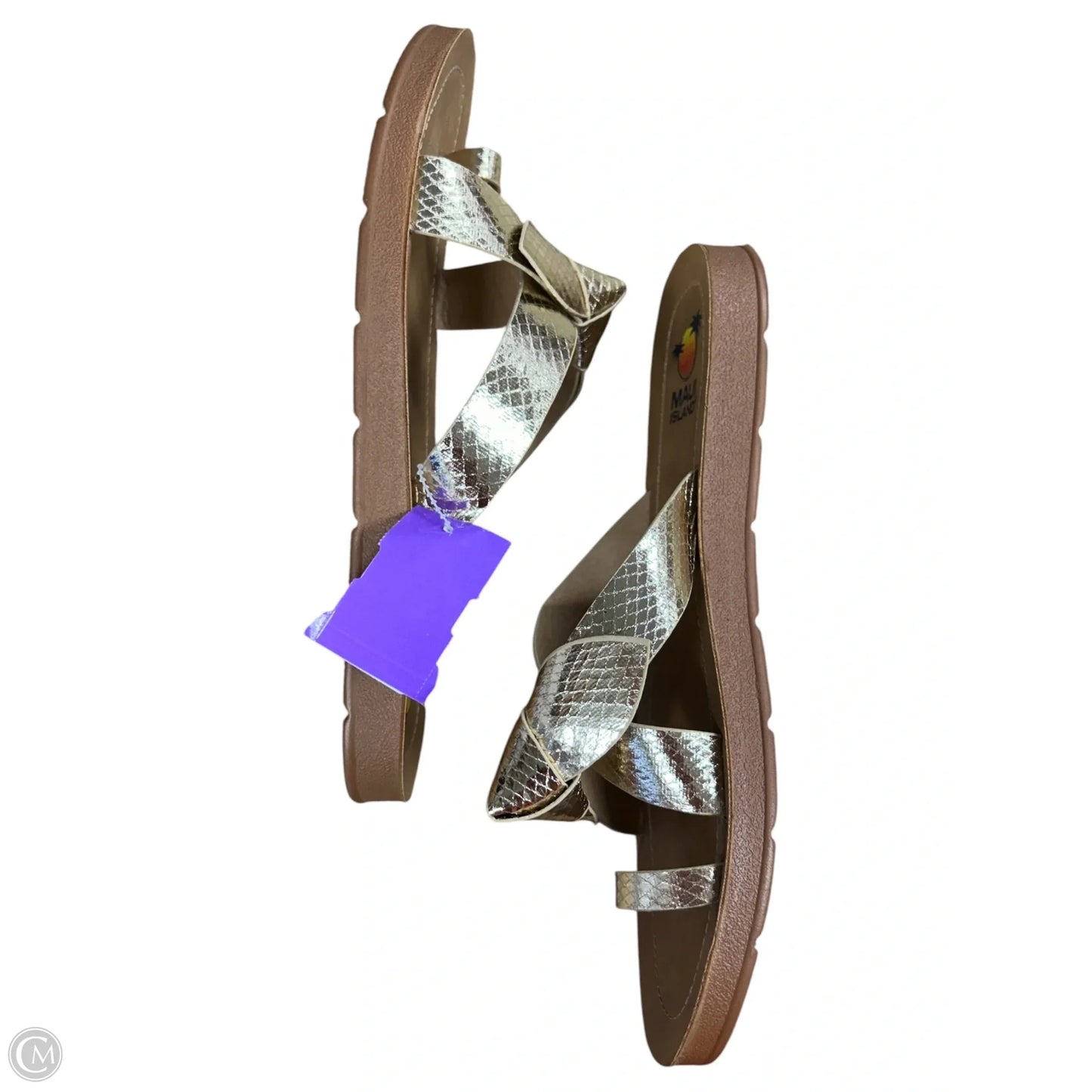 Sandals Flats By Clothes Mentor In Gold, Size: 10