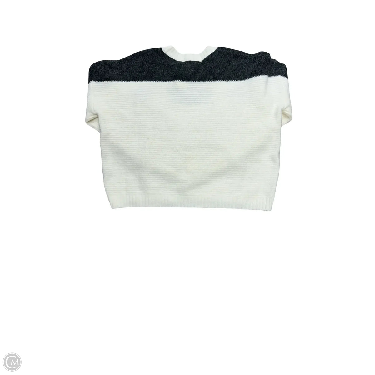 Sweater By Saltwater Luxe In Grey & White, Size: S