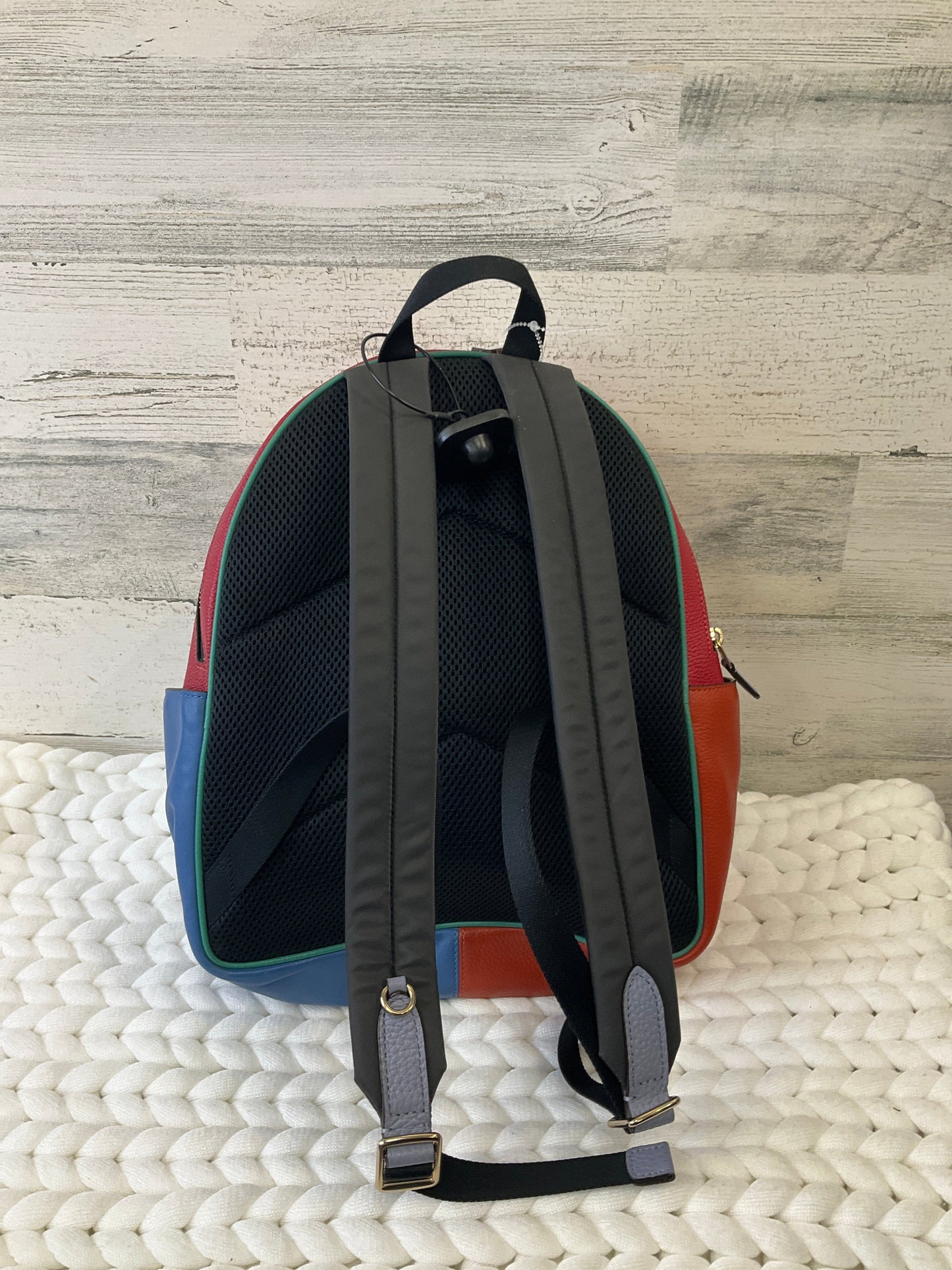 Backpack Designer Coach, Size Large