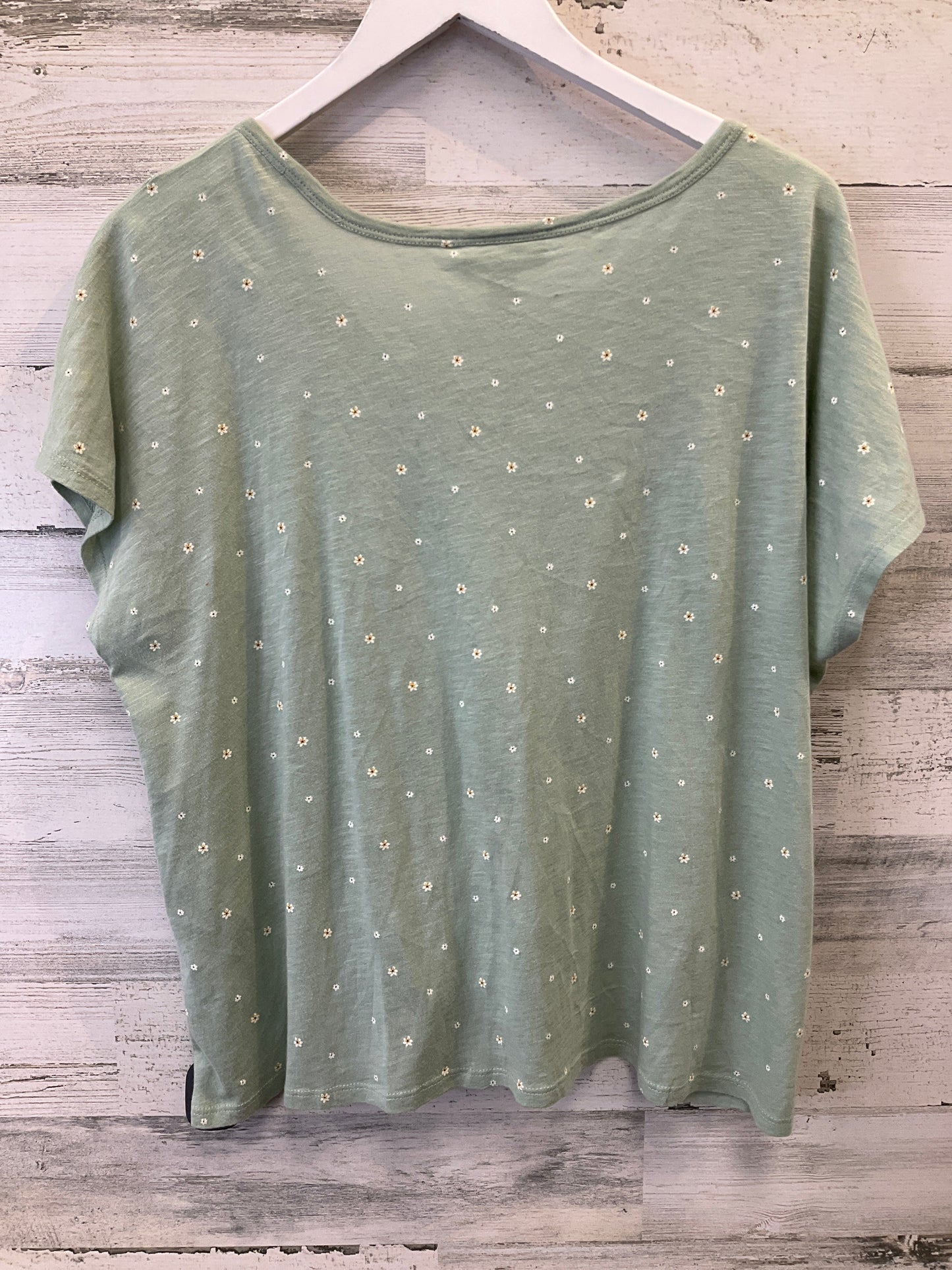 Top Short Sleeve By Style And Company In Green, Size: Xxl