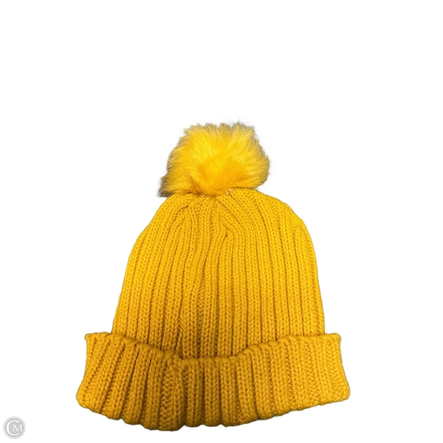 Hat Beanie By Clothes Mentor