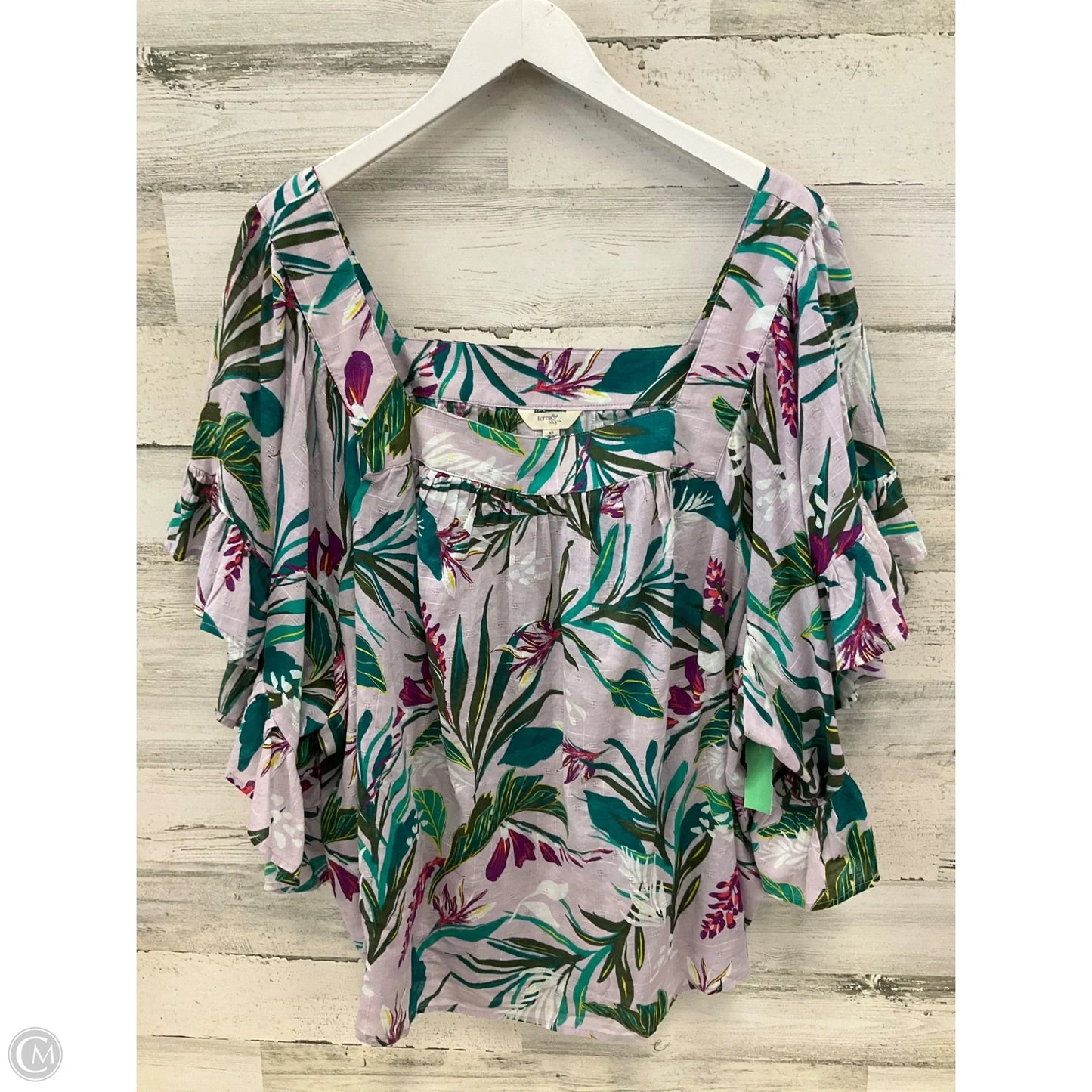 Top Short Sleeve By Terra & Sky In Multi-colored, Size: 4x