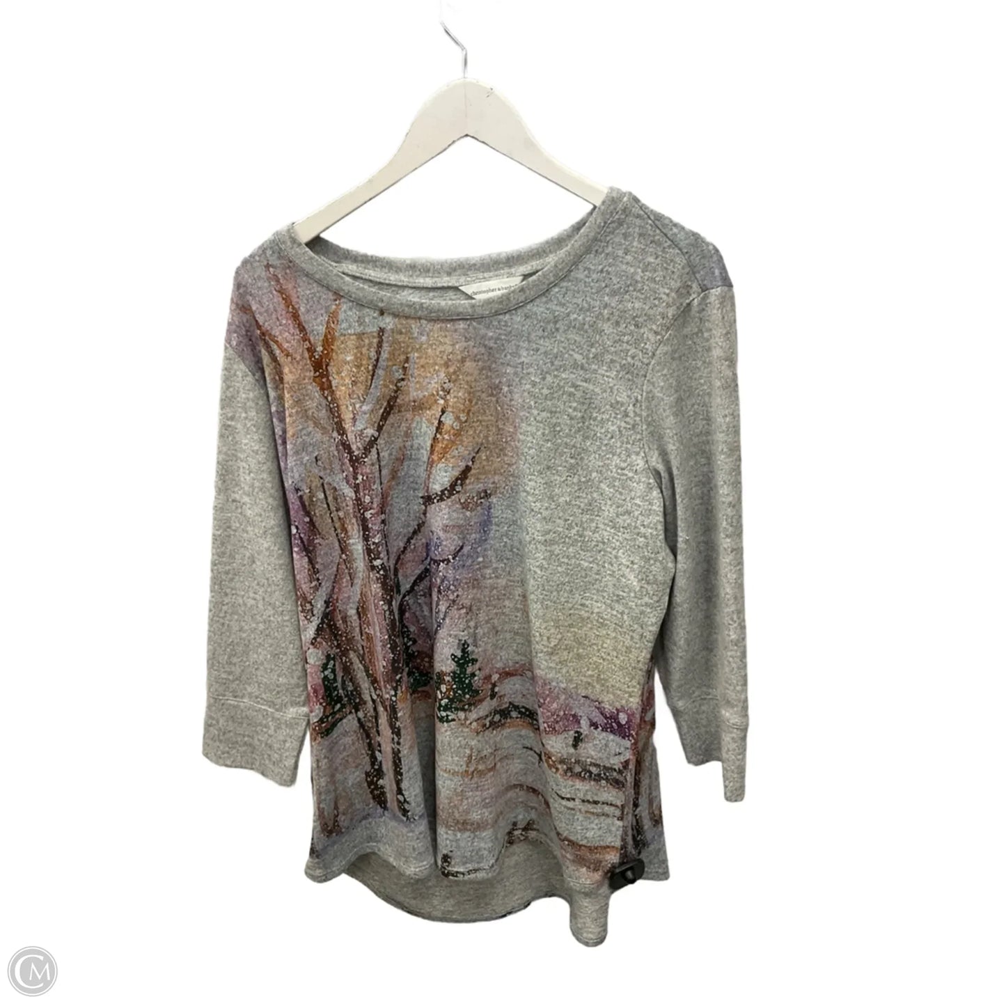 Top Long Sleeve By Christopher And Banks In Grey, Size: Xl