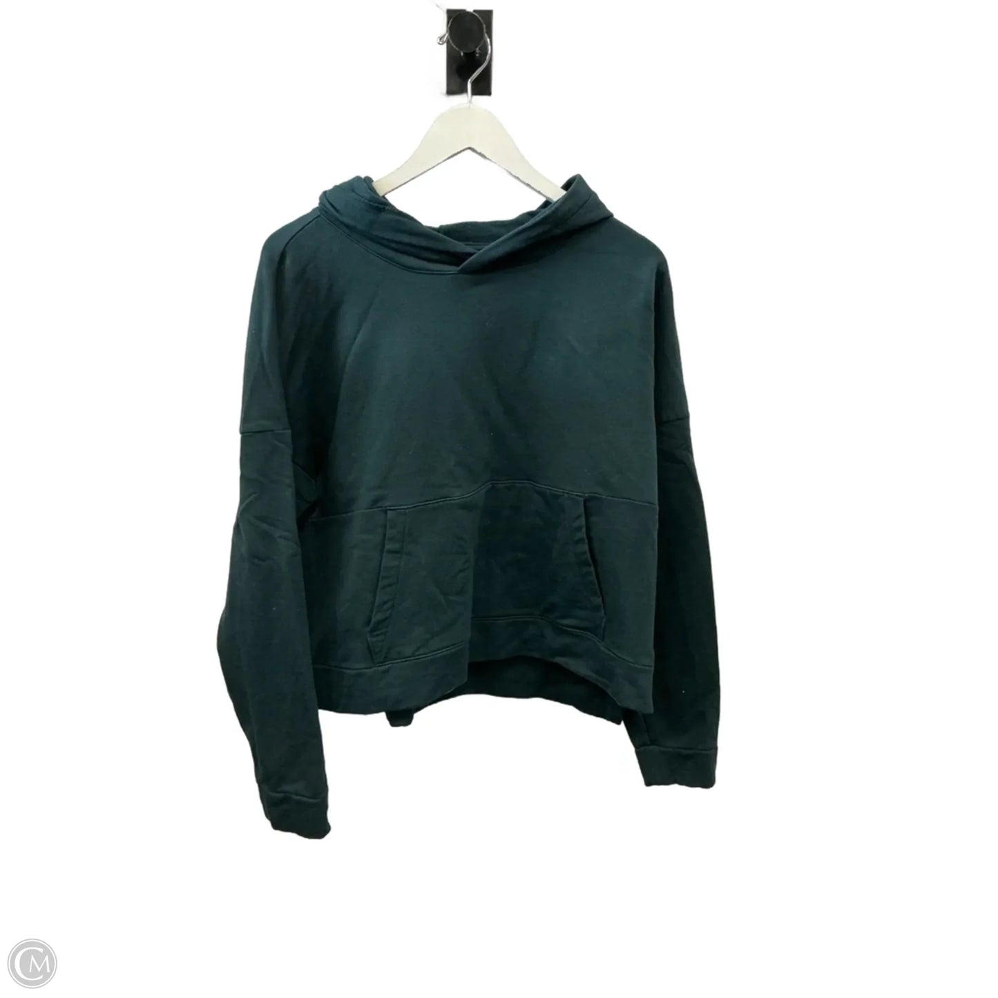 Sweatshirt Hoodie By Flx In Teal, Size: Xl