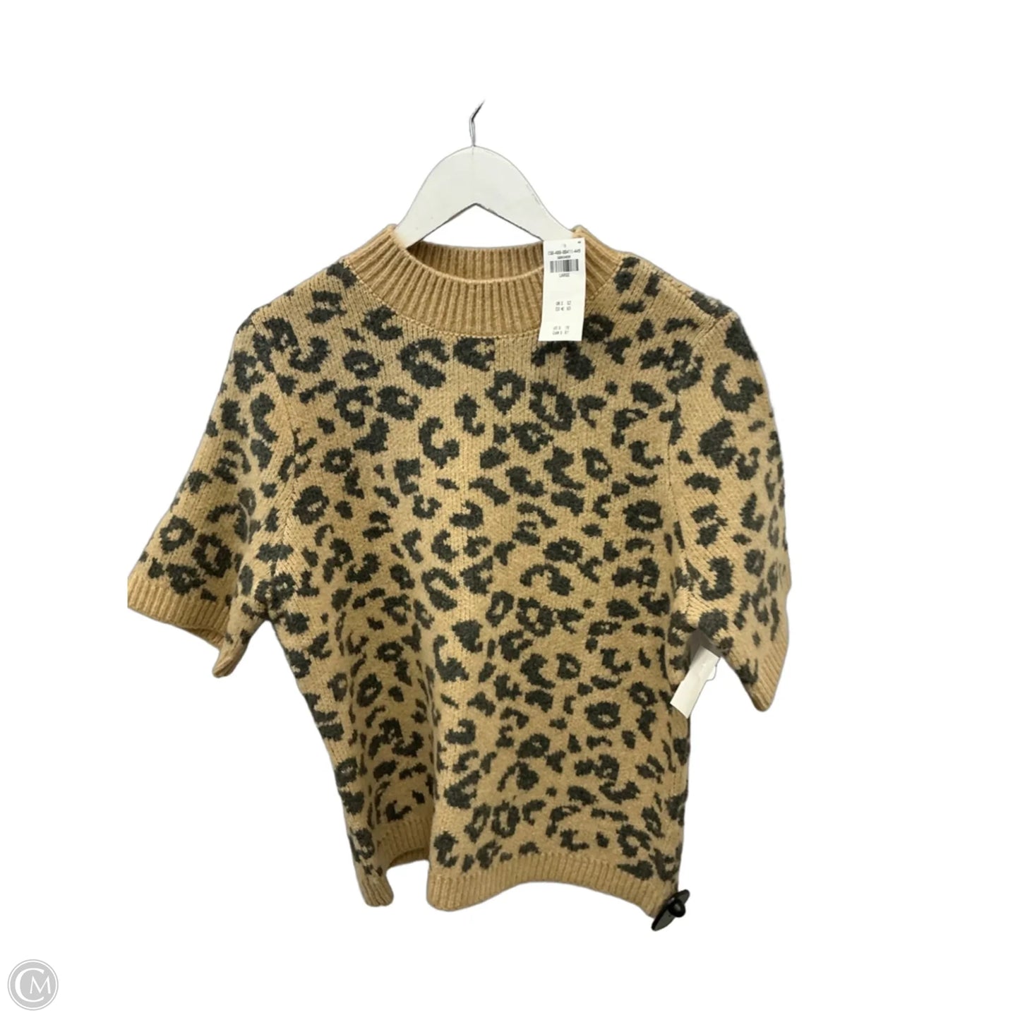 Sweater Short Sleeve By Abercrombie And Fitch In Animal Print, Size: L