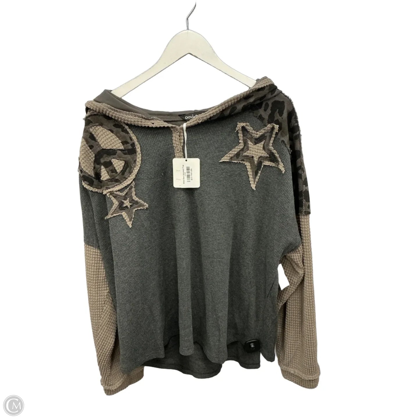 Top Long Sleeve By Davi & Dani In Grey, Size: 2x