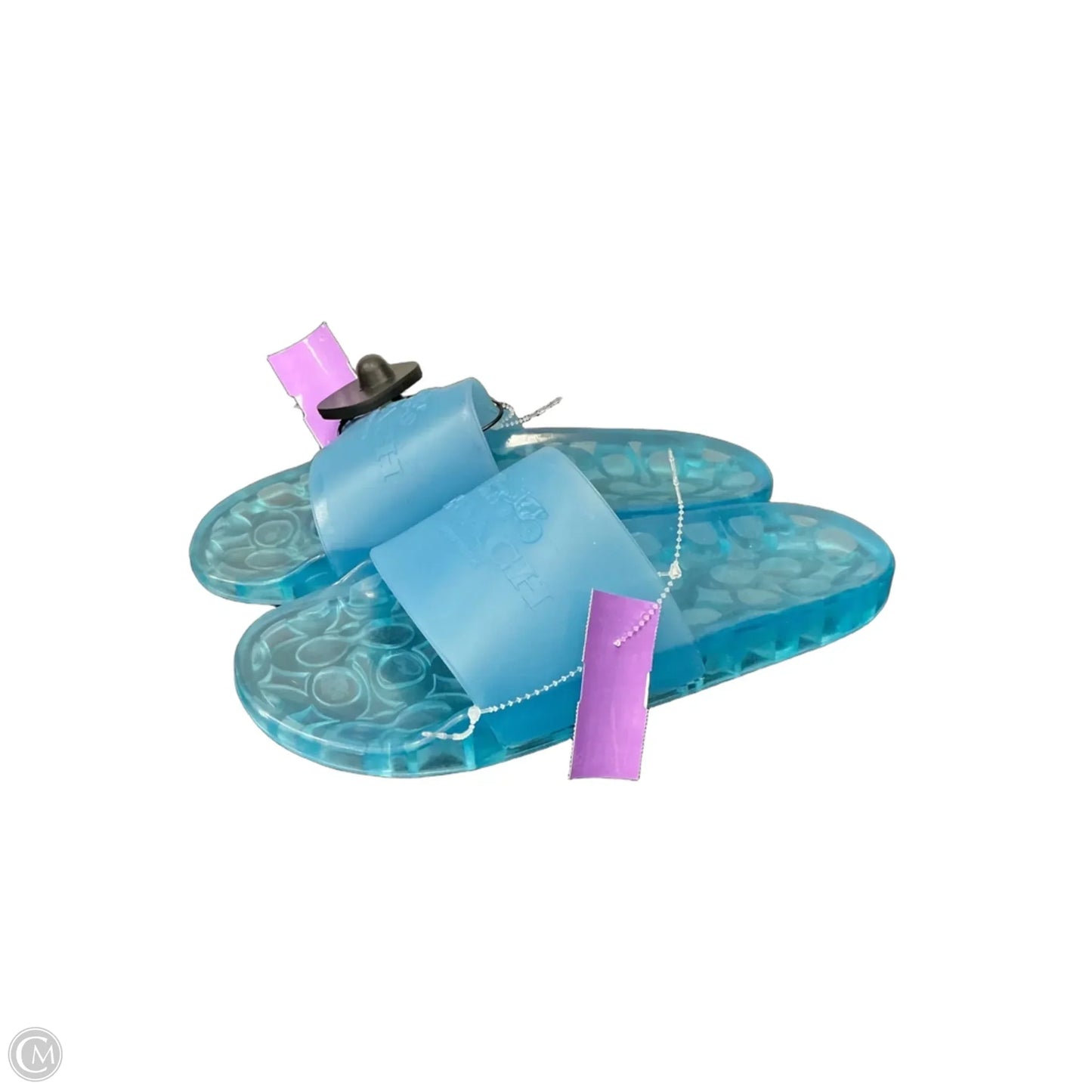 Sandals Designer By Coach In Blue, Size: 9