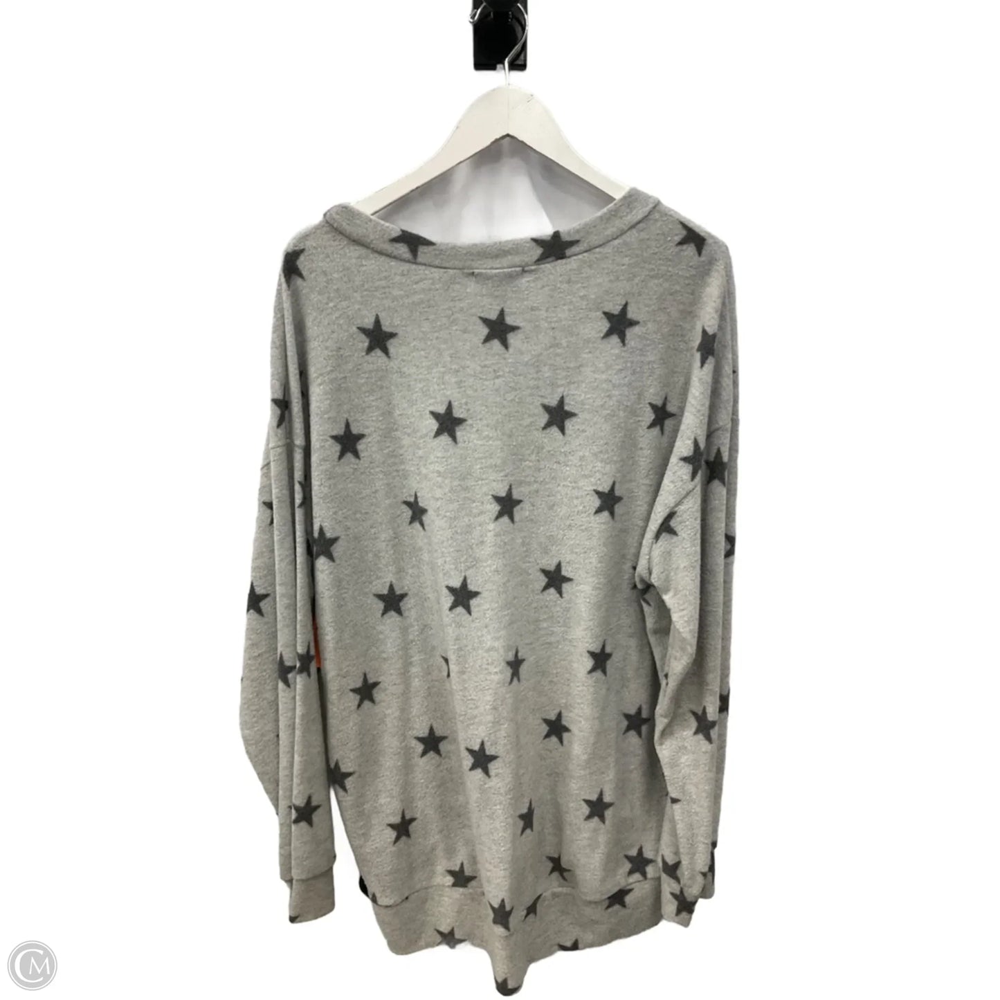 Top Long Sleeve By White Birch In Grey, Size: L