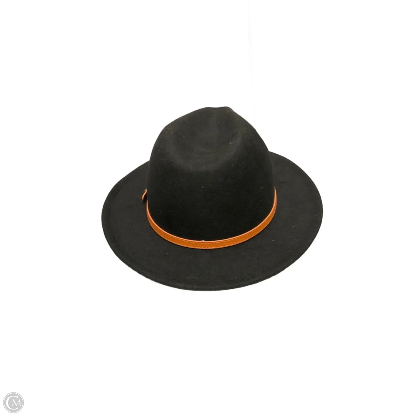 Hat Fedora By Clothes Mentor