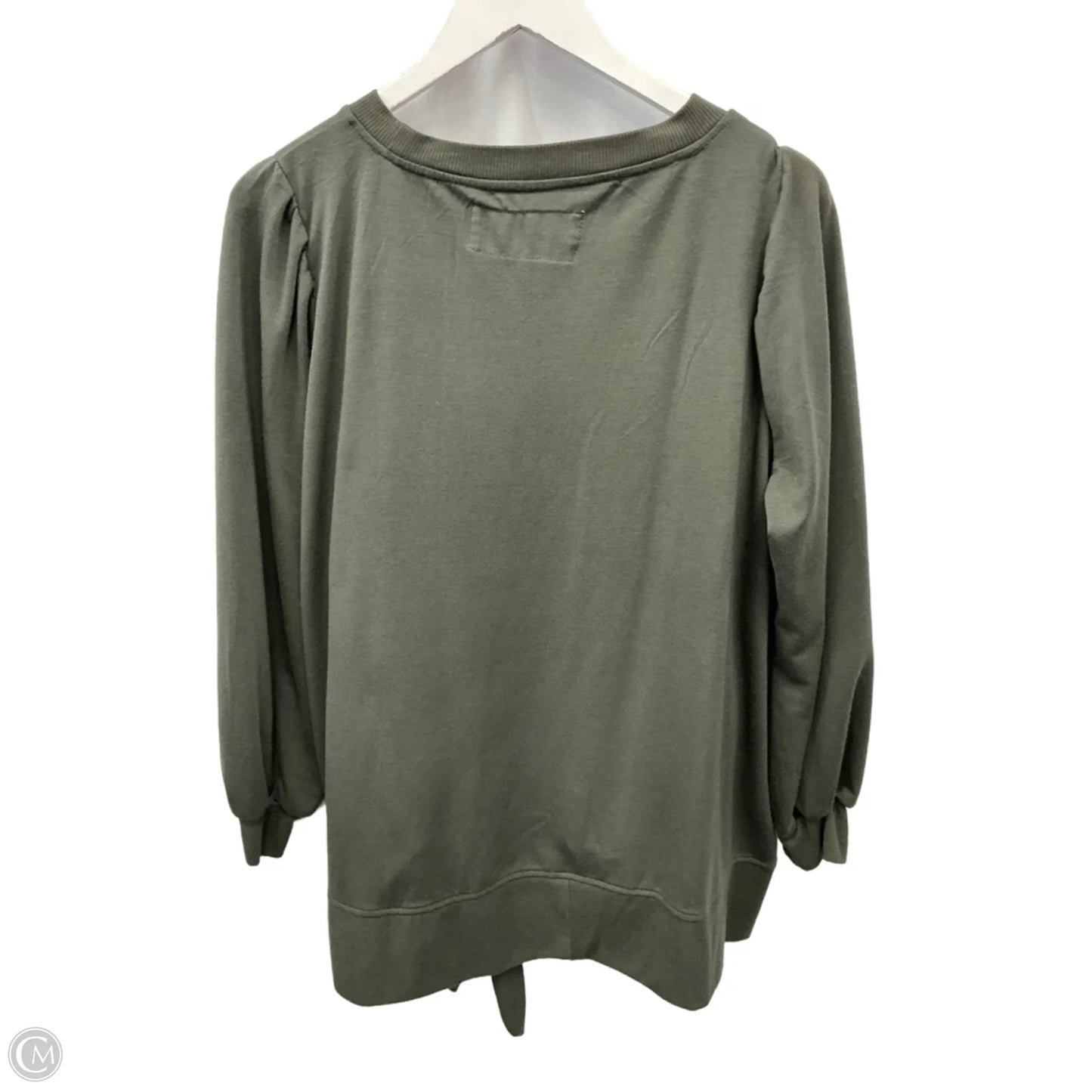 Sweatshirt Crewneck By The Sweatshirt Project In Green, Size: 1x