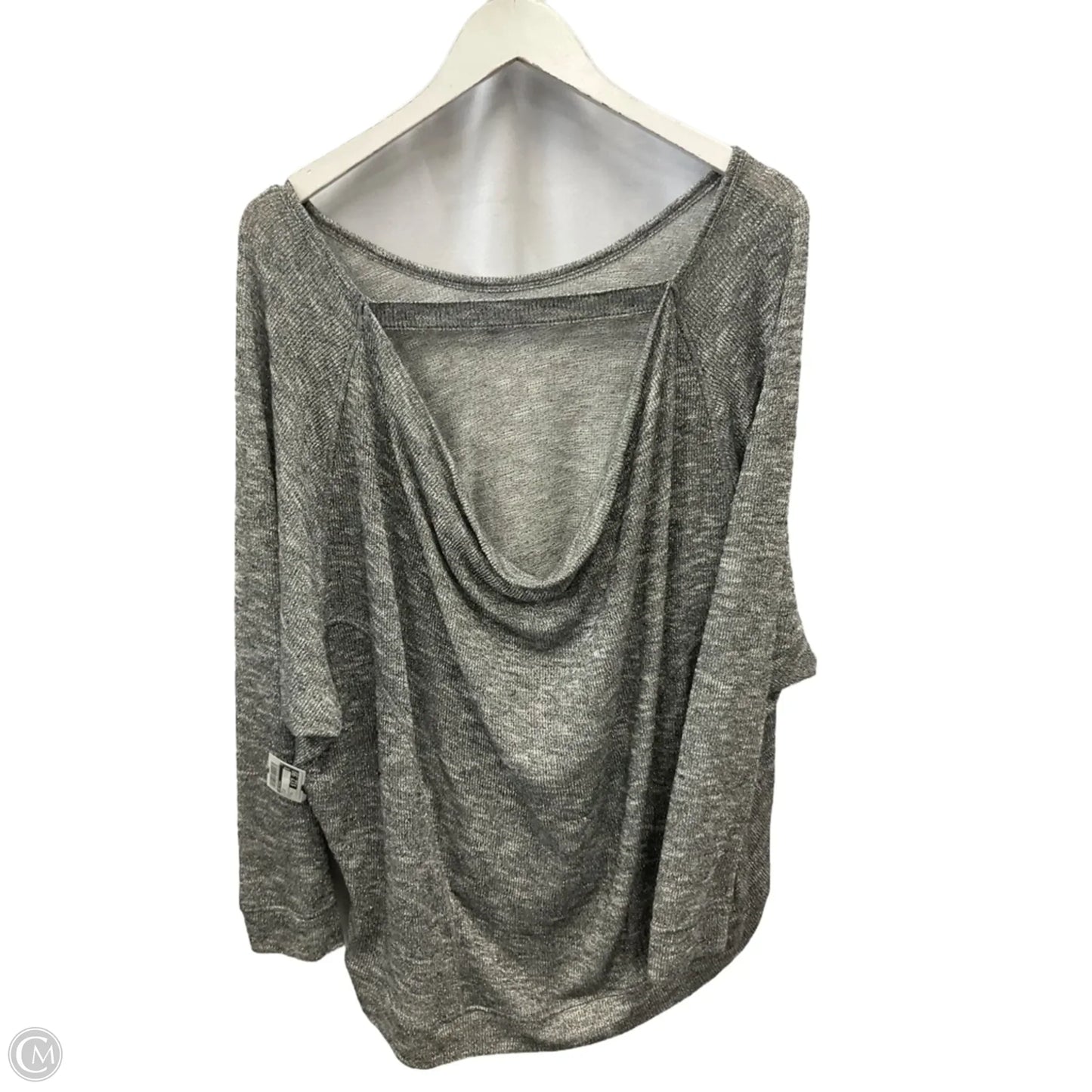 Top Long Sleeve By Lane Bryant In Silver, Size: 1x