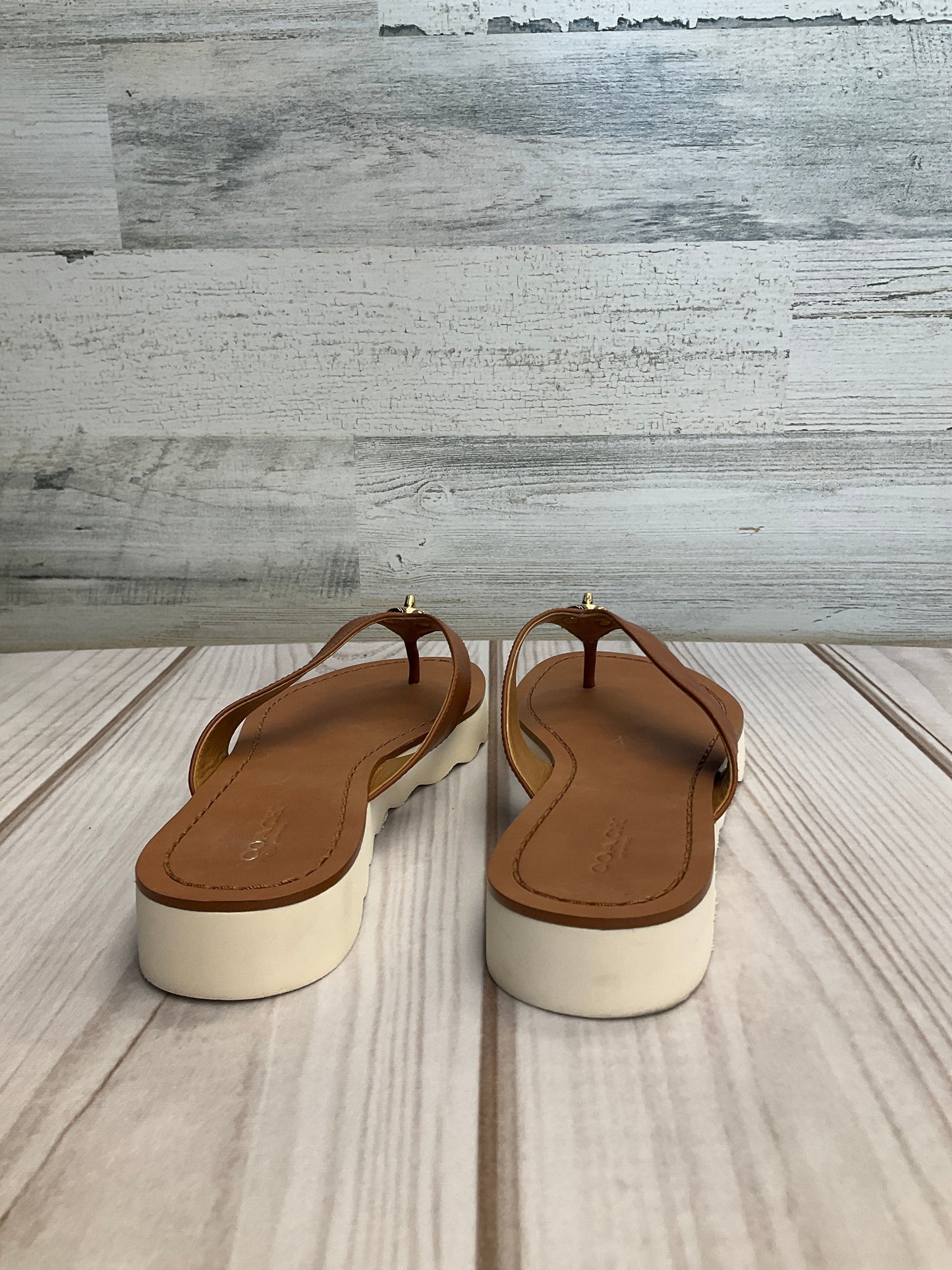 Sandals Flip Flops By Coach  Size: 6