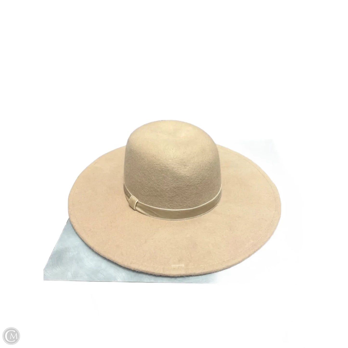 Hat Fedora By A New Day